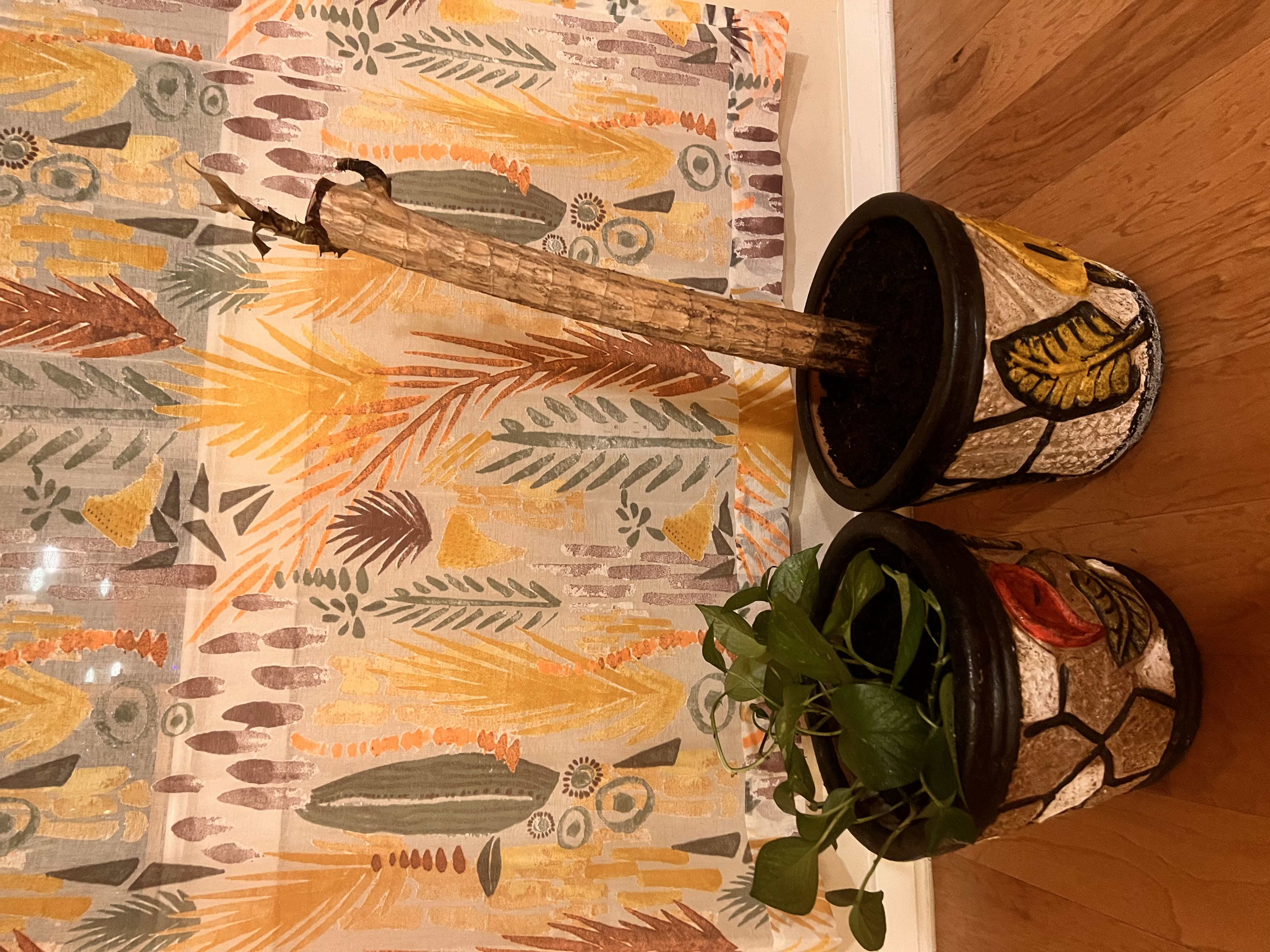 Photo from the post