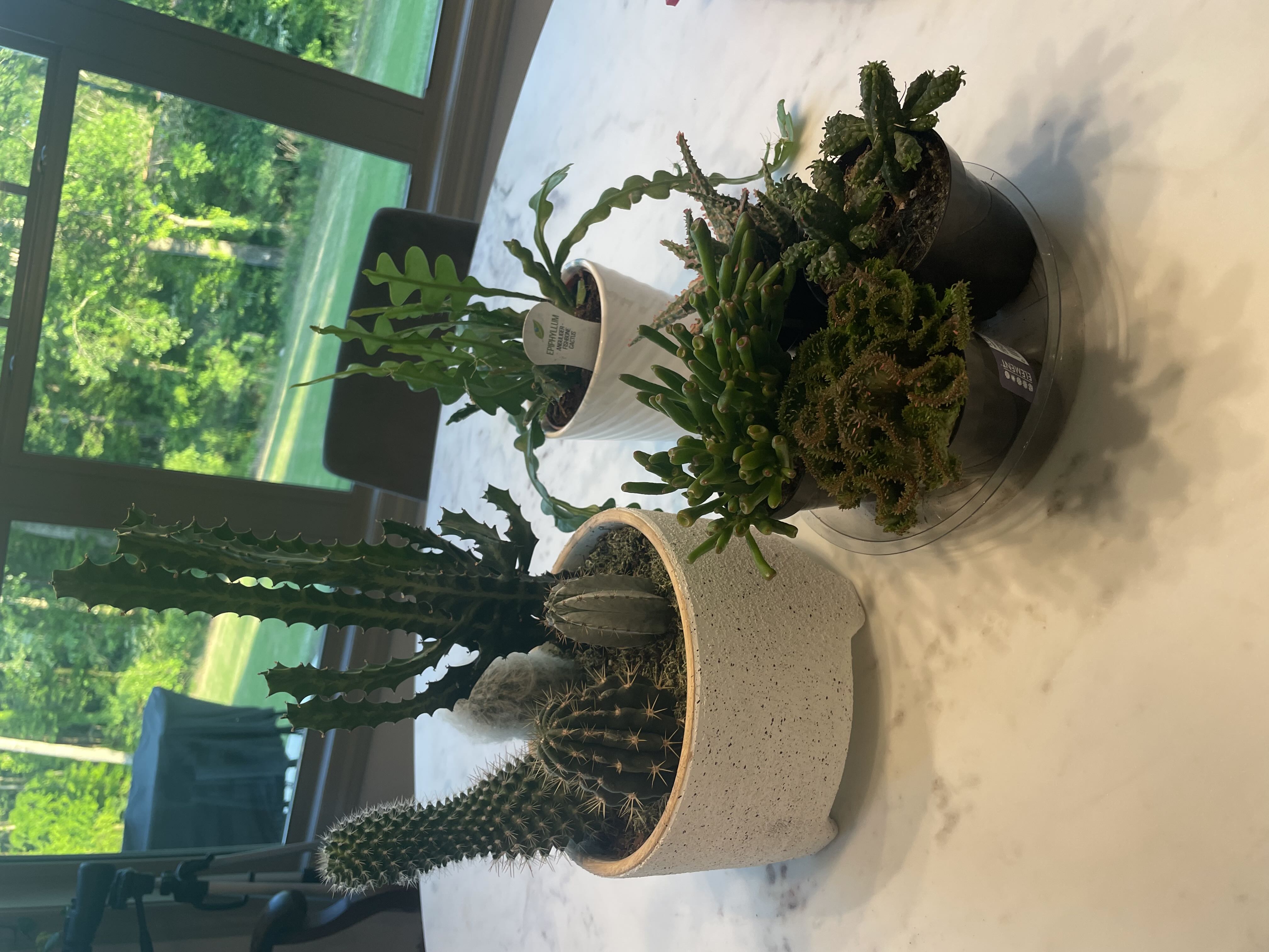 Photo from the post