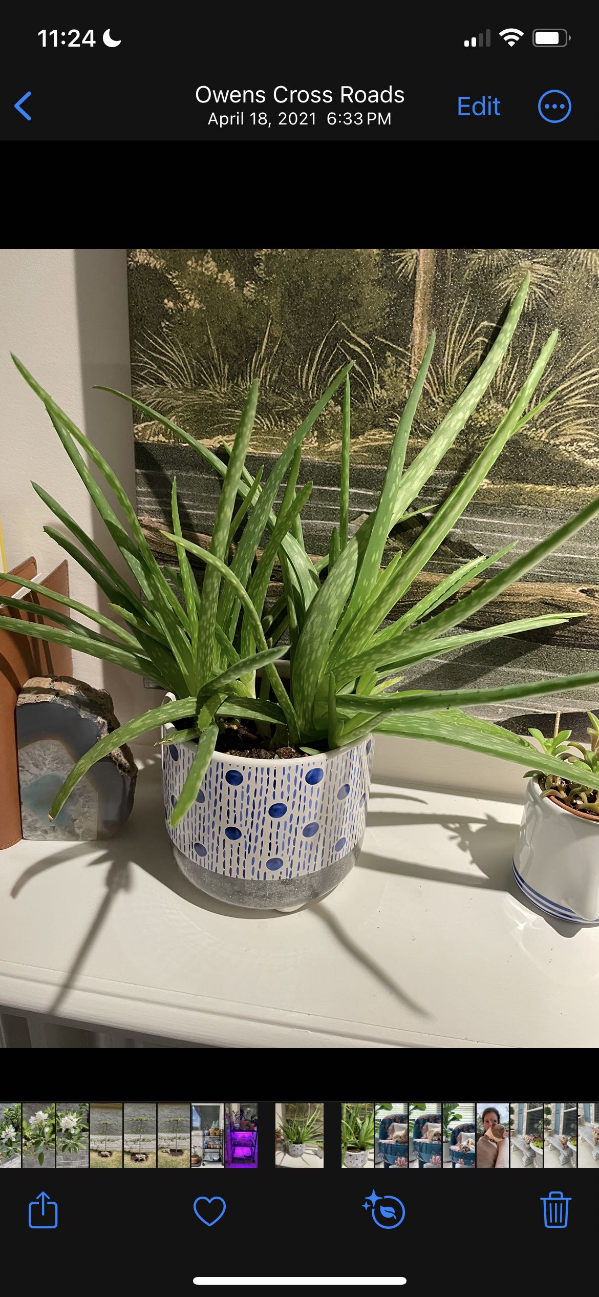 Photo from the post