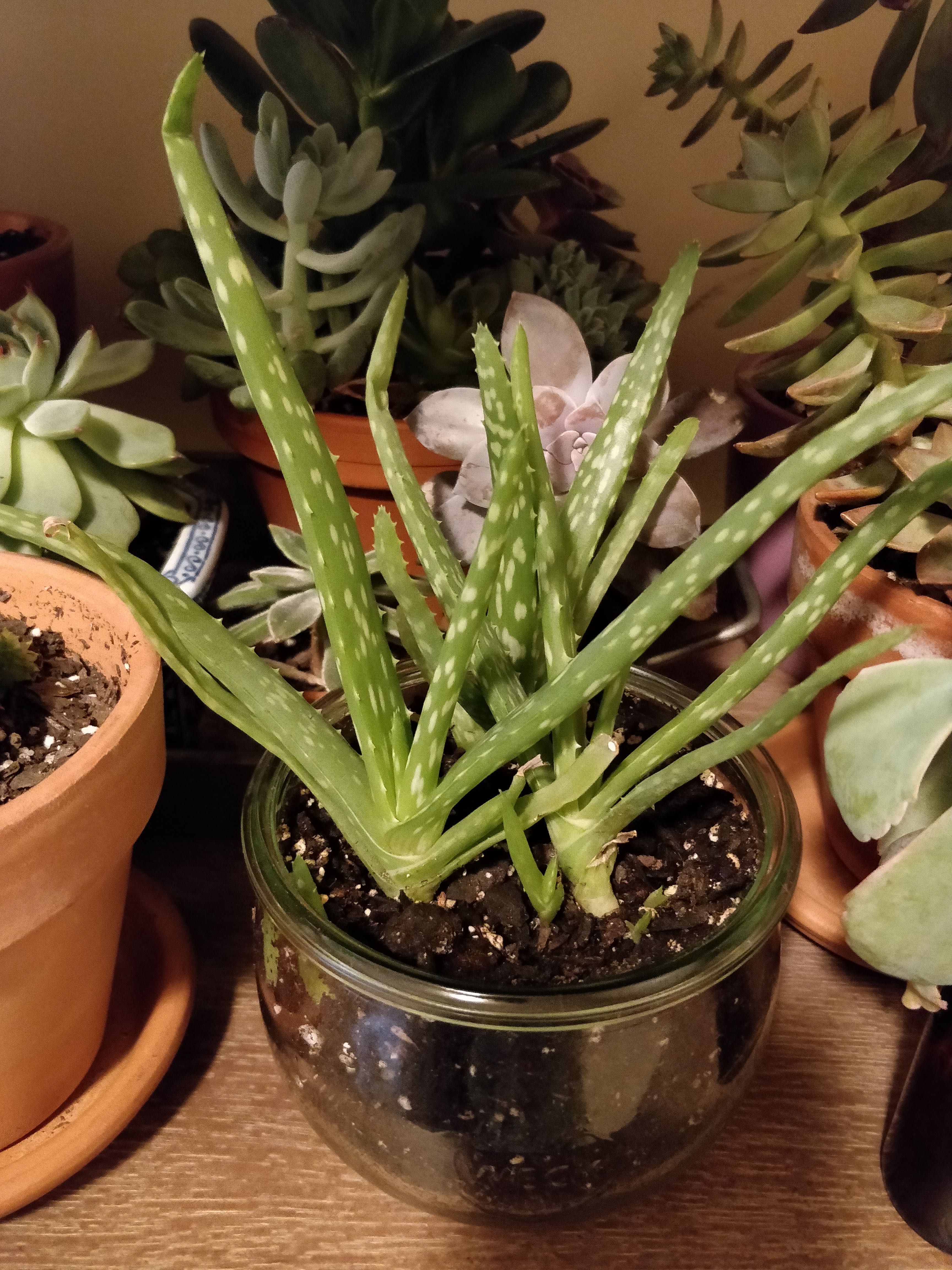 Photo from the post