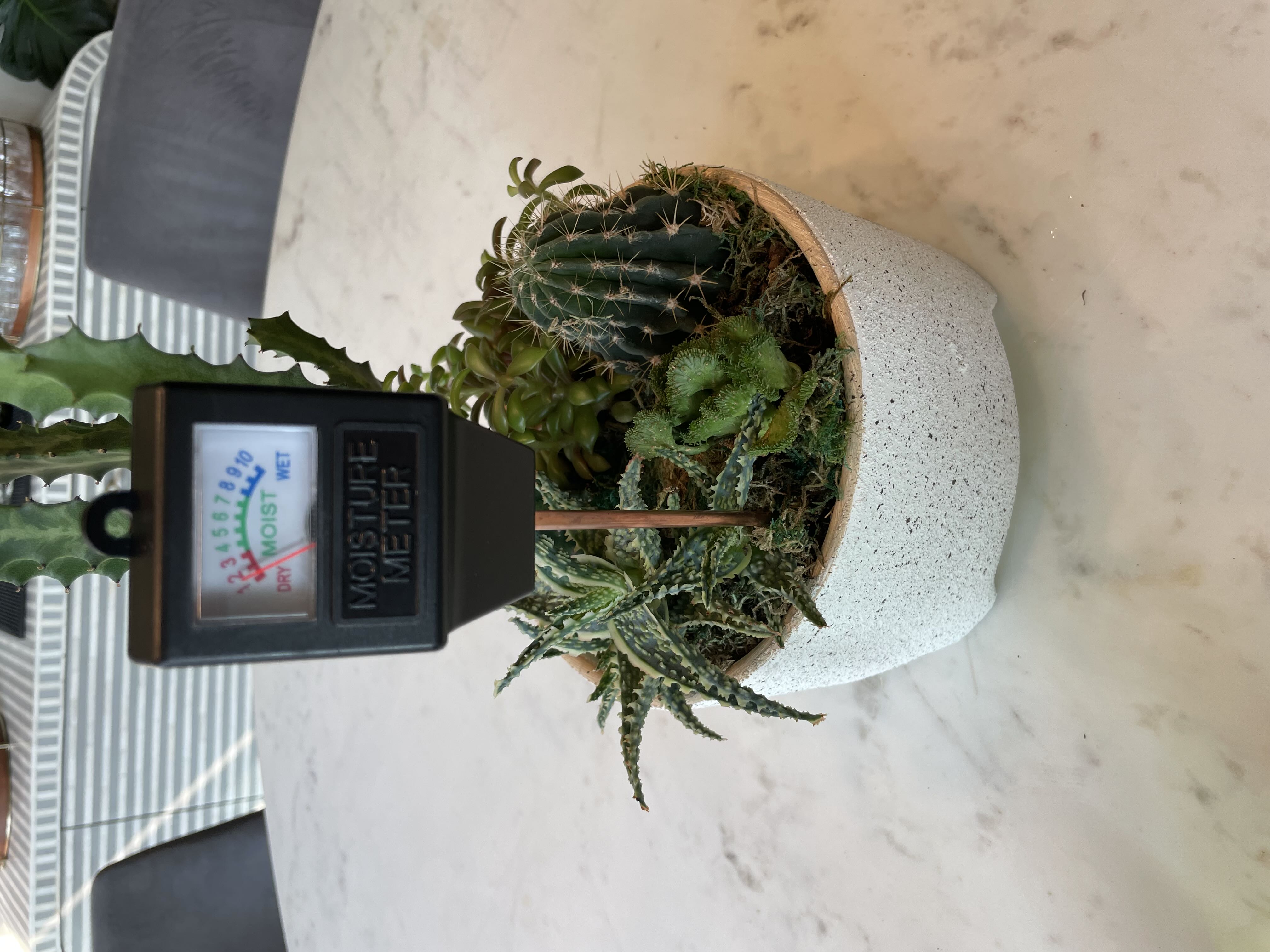 Photo from the post