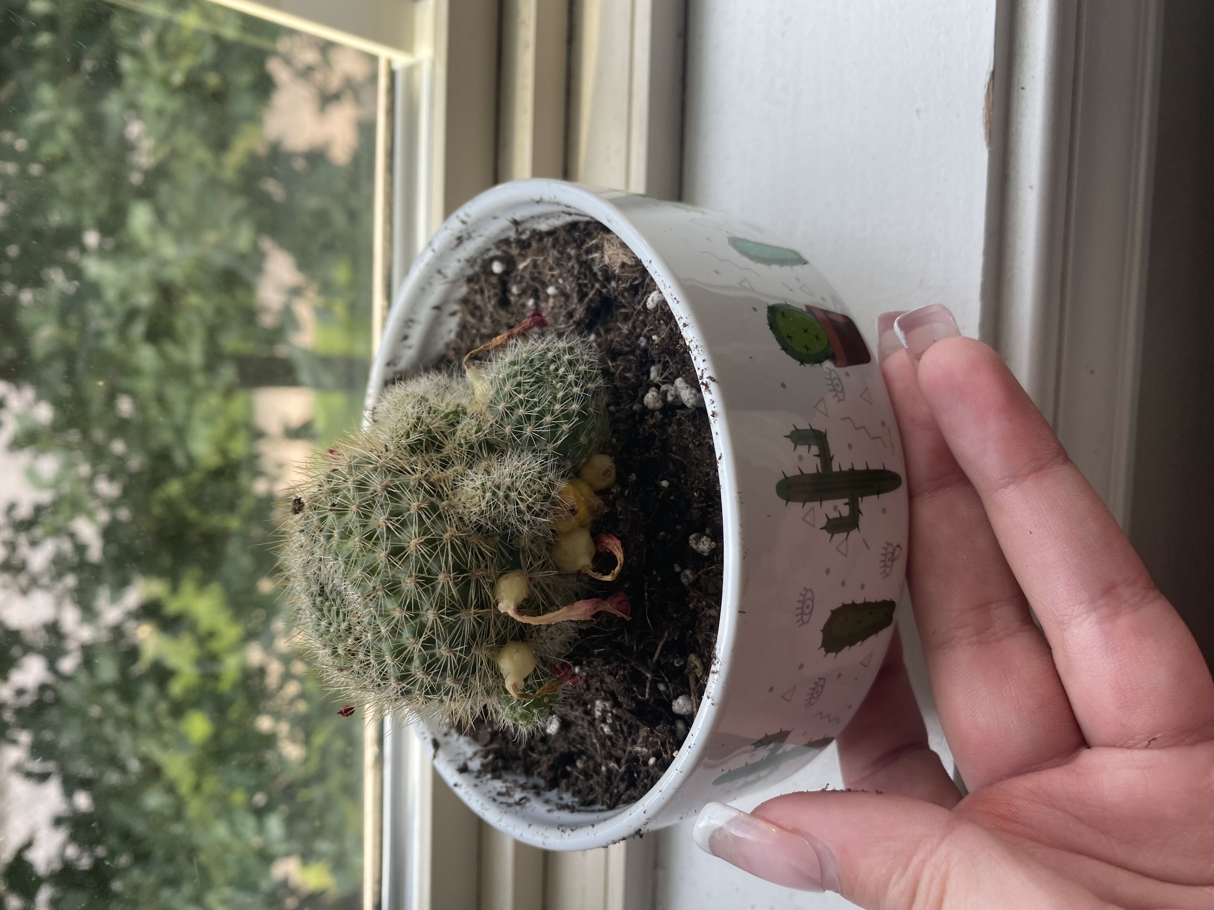 Photo from the post