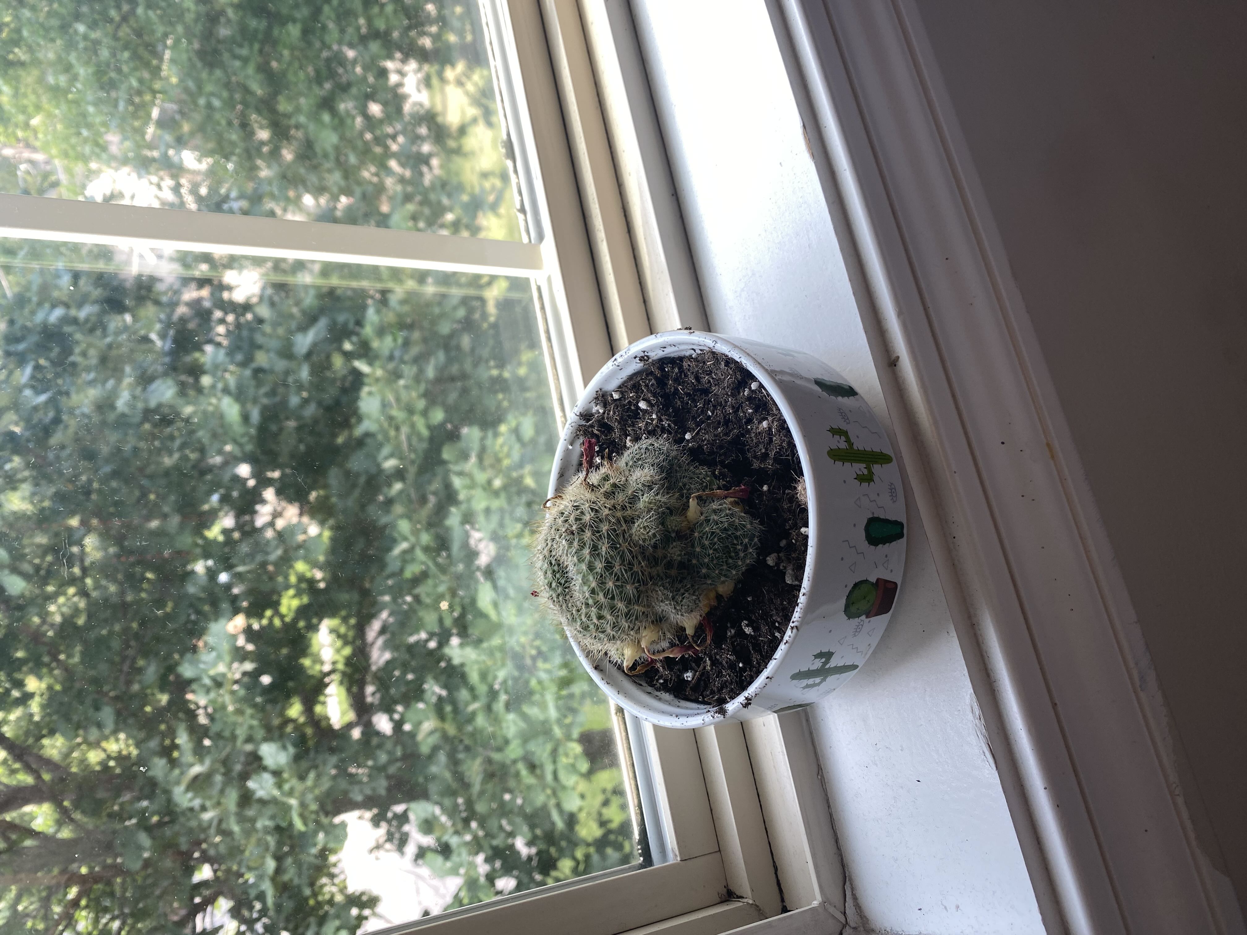 Photo from the post