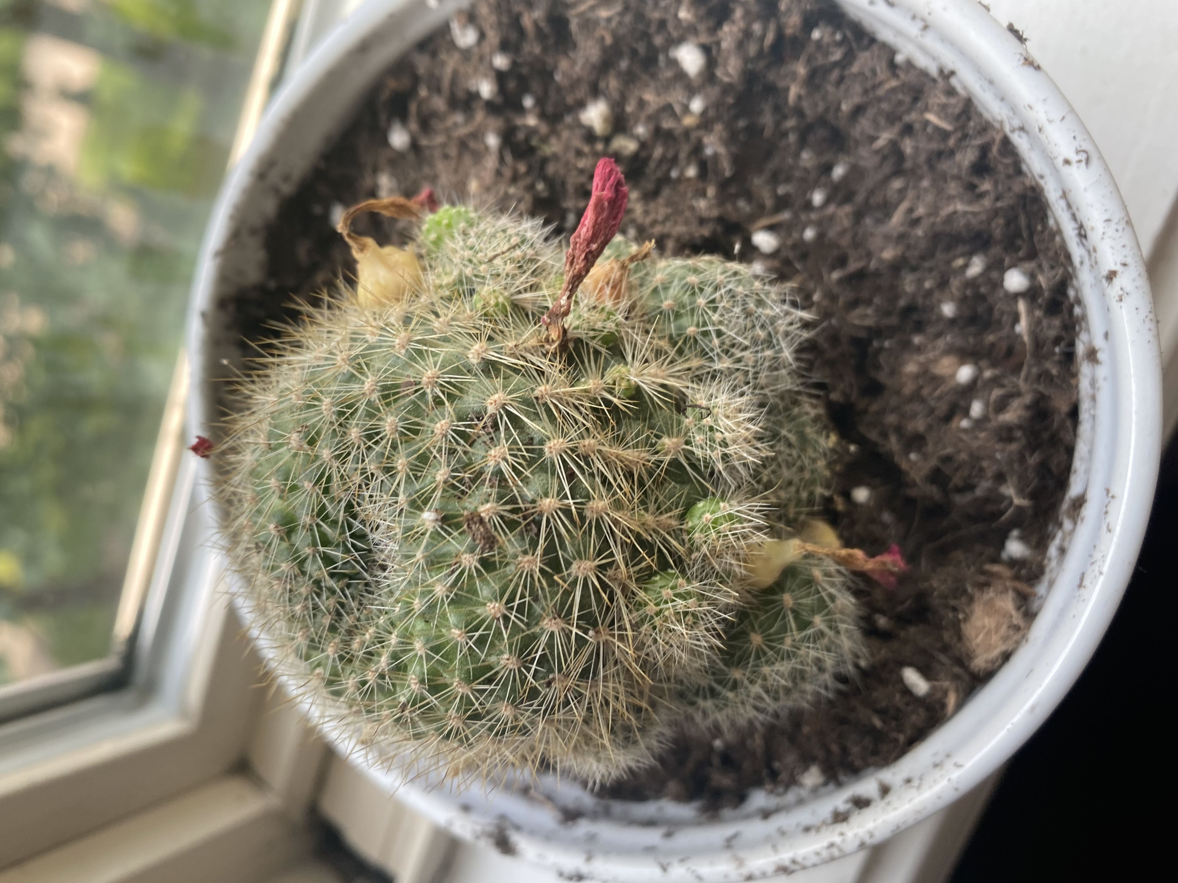 Photo from the post