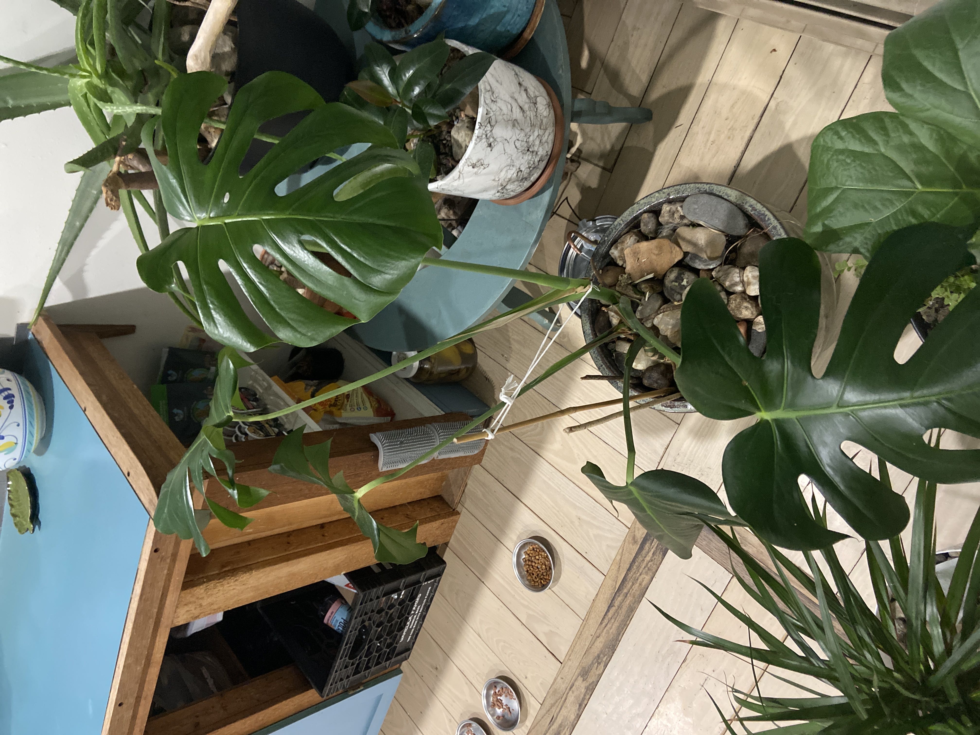 Photo from the post
