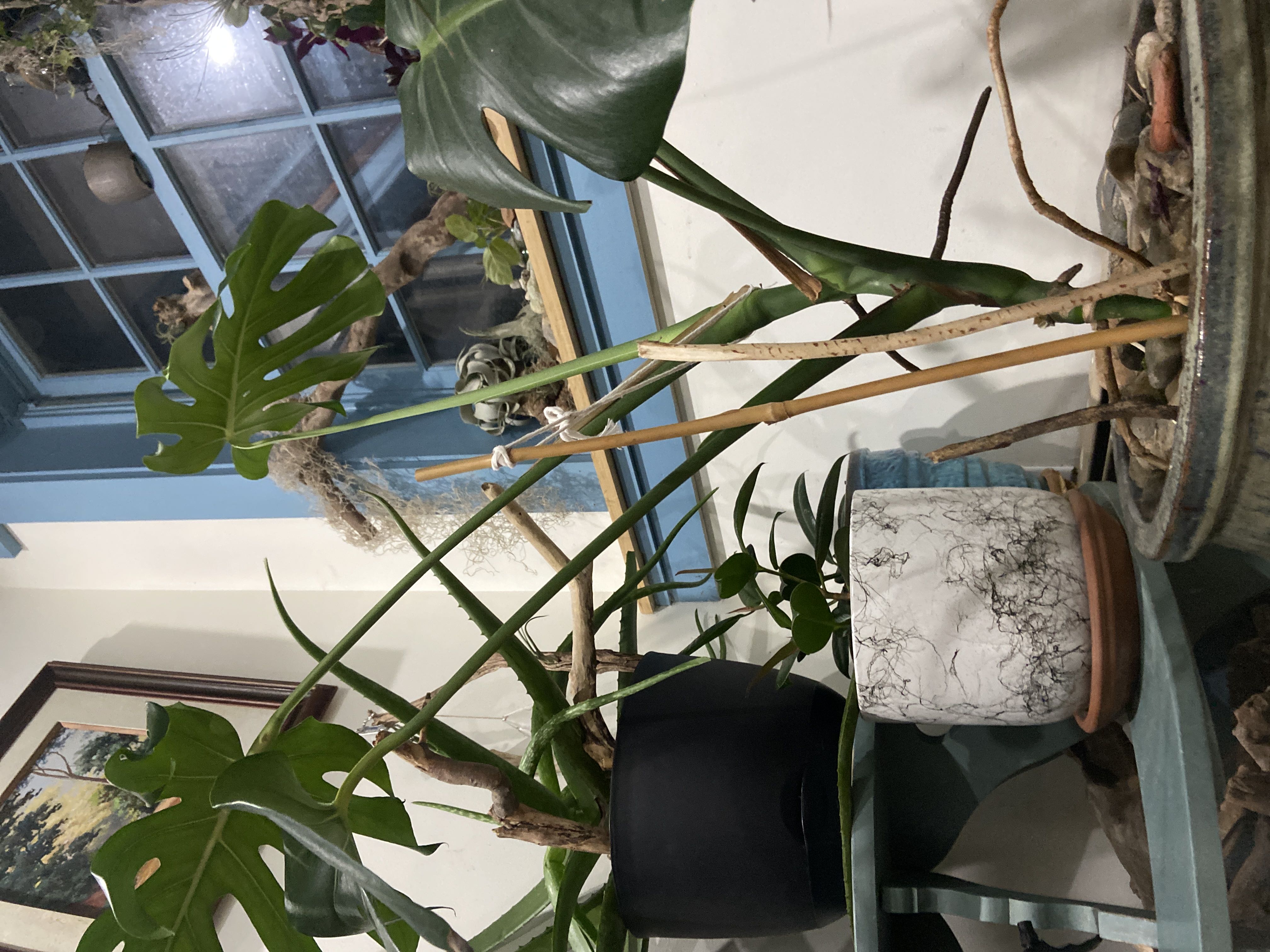 Photo from the post