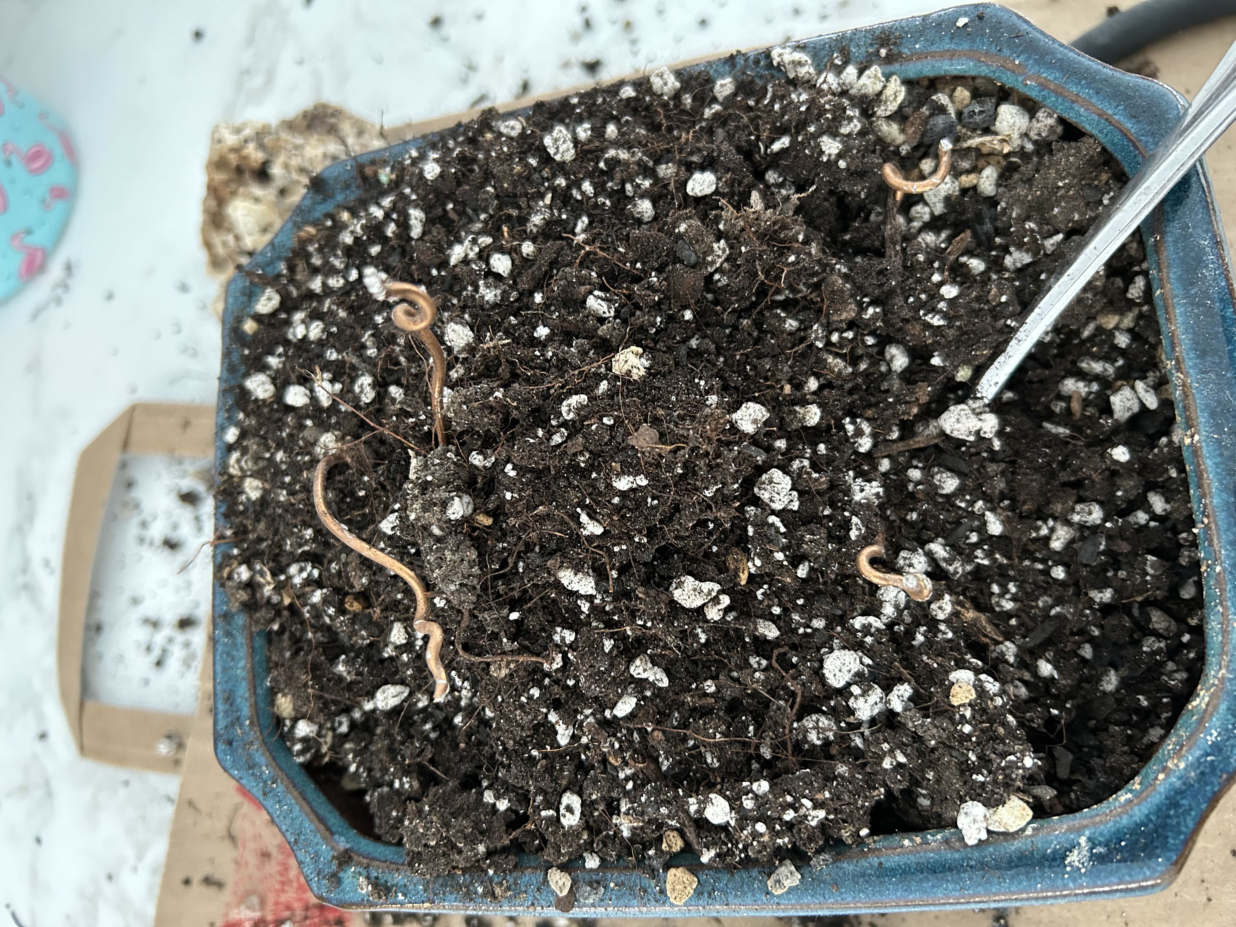 Photo from the post