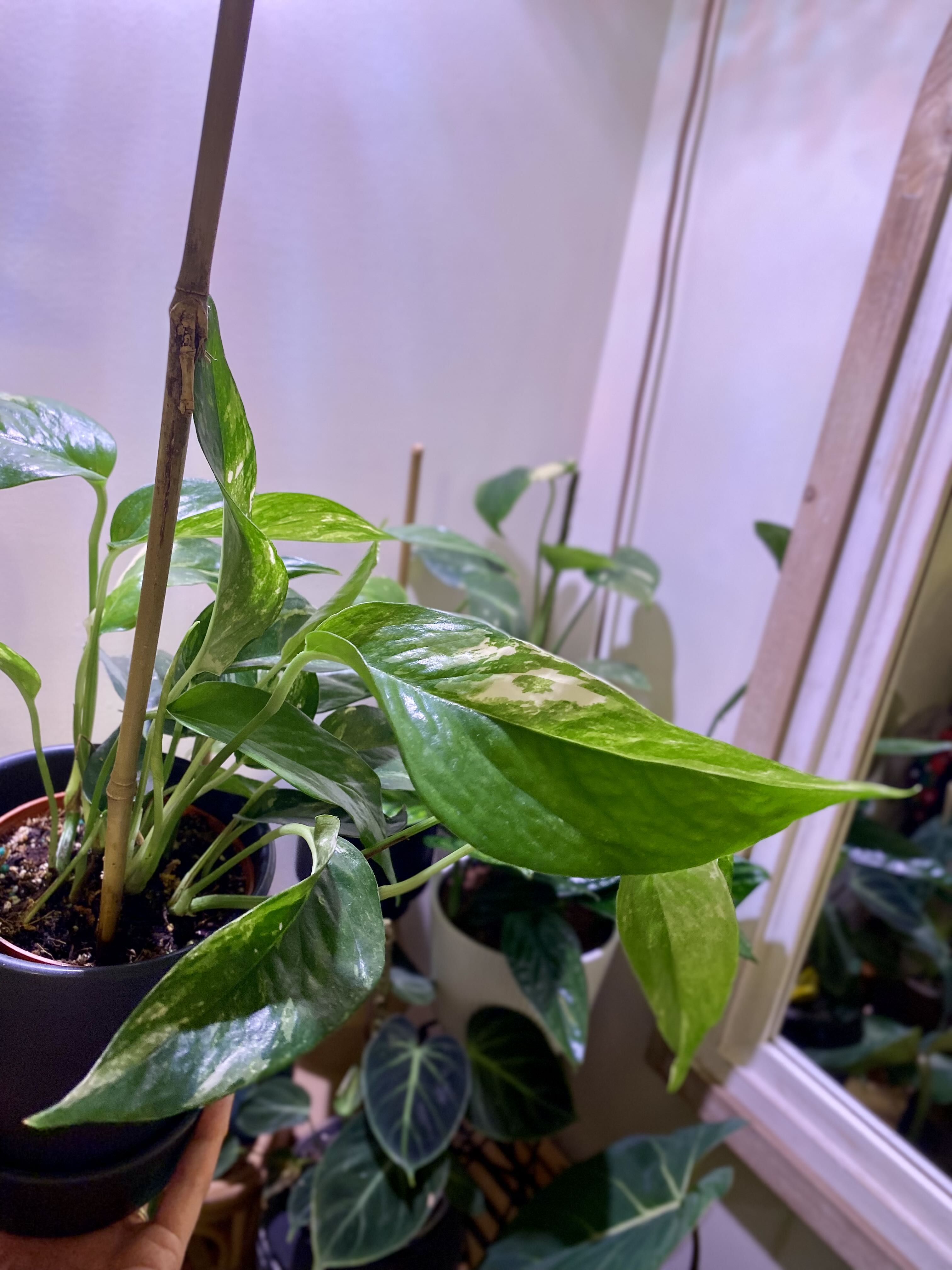 Photo from the post