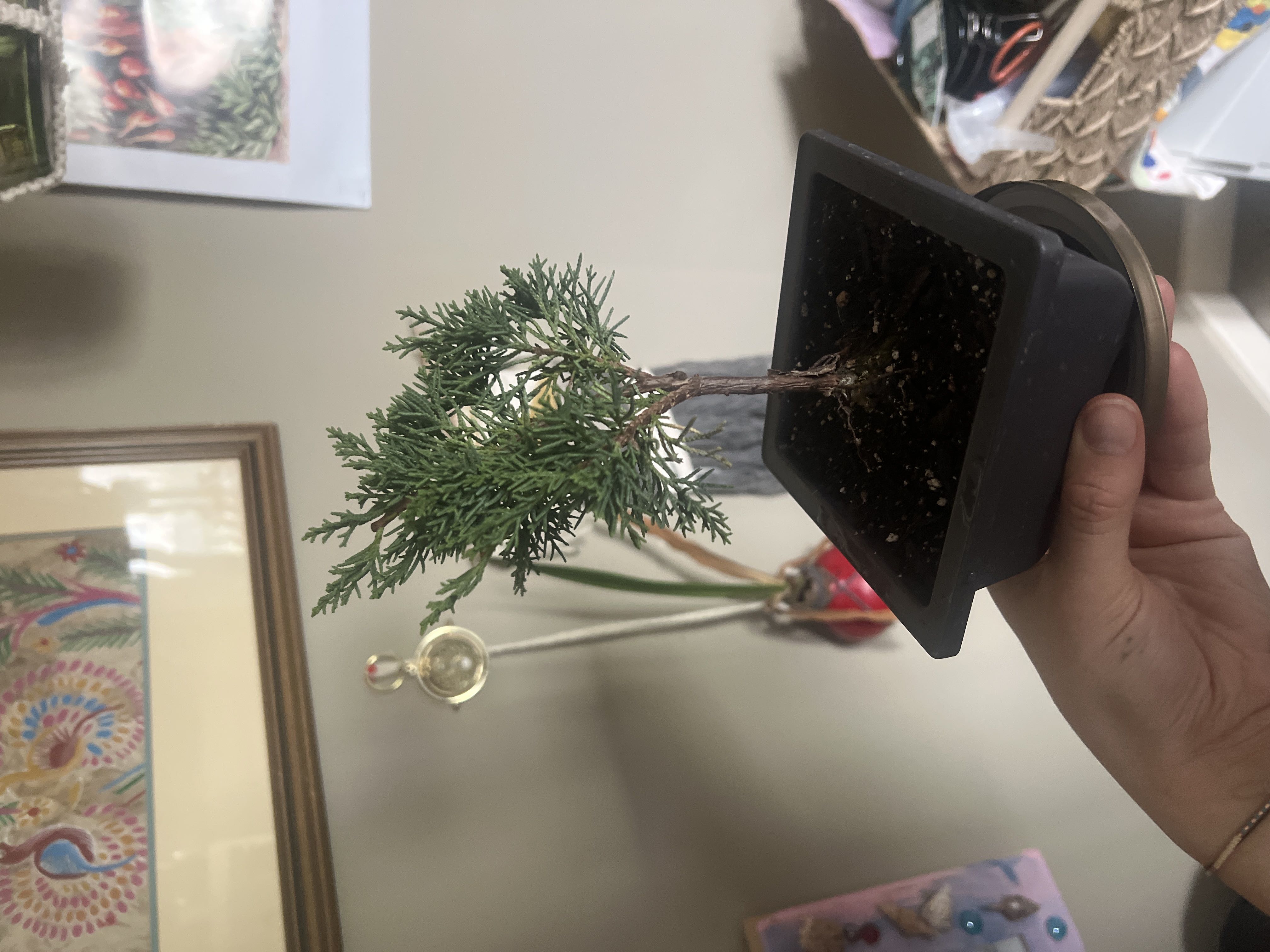 Photo from the post