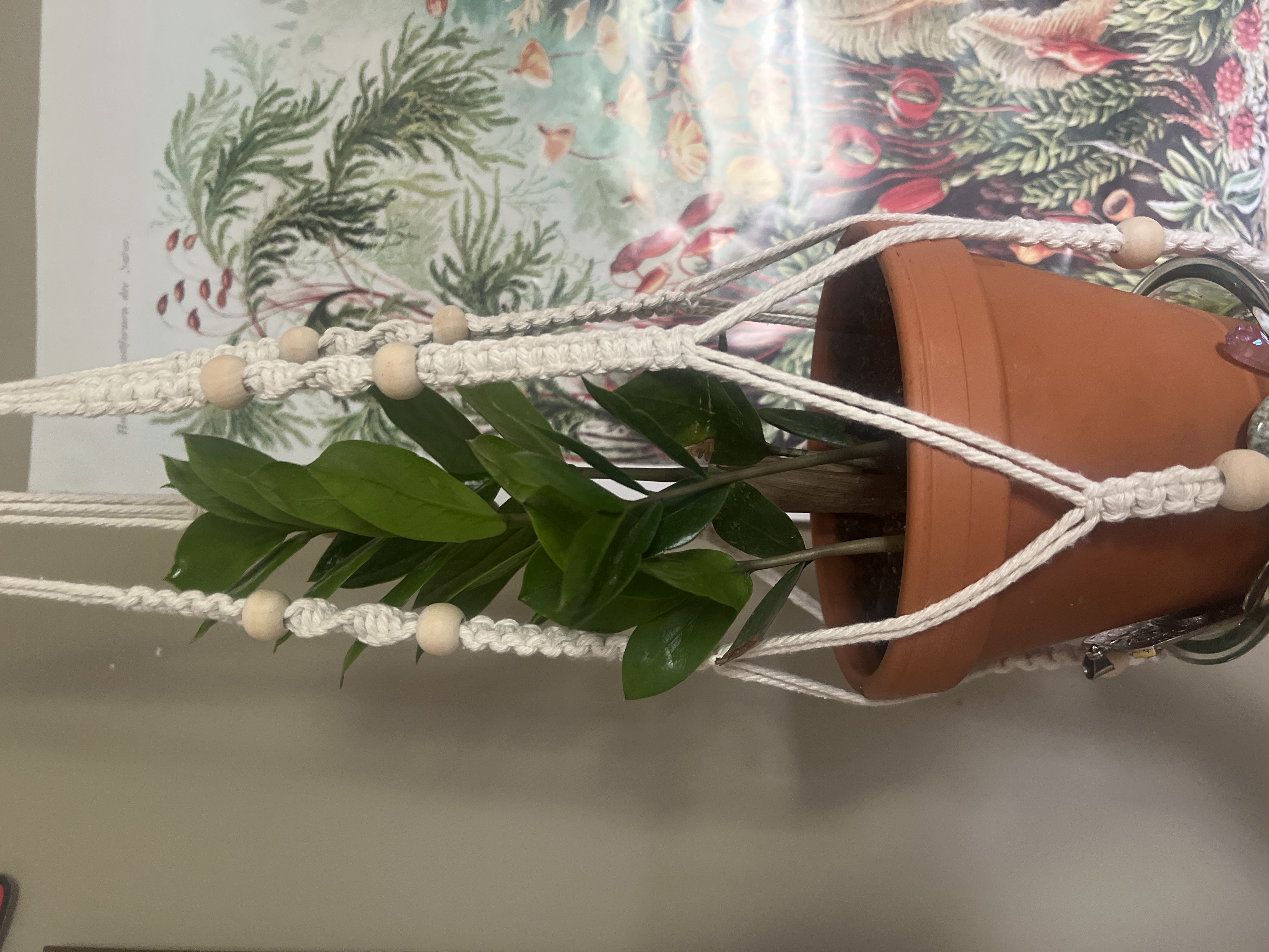 Photo from the post