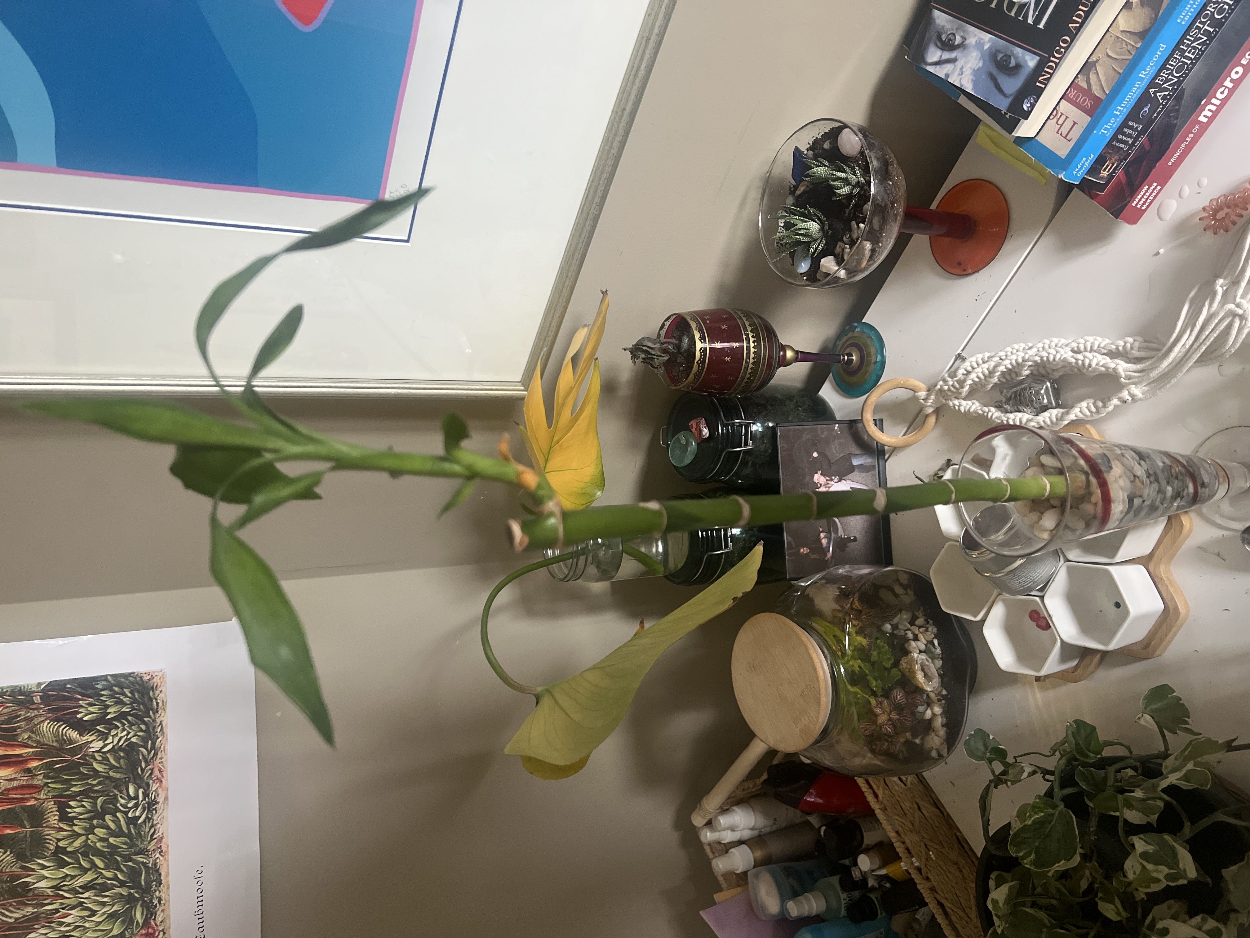 Photo from the post