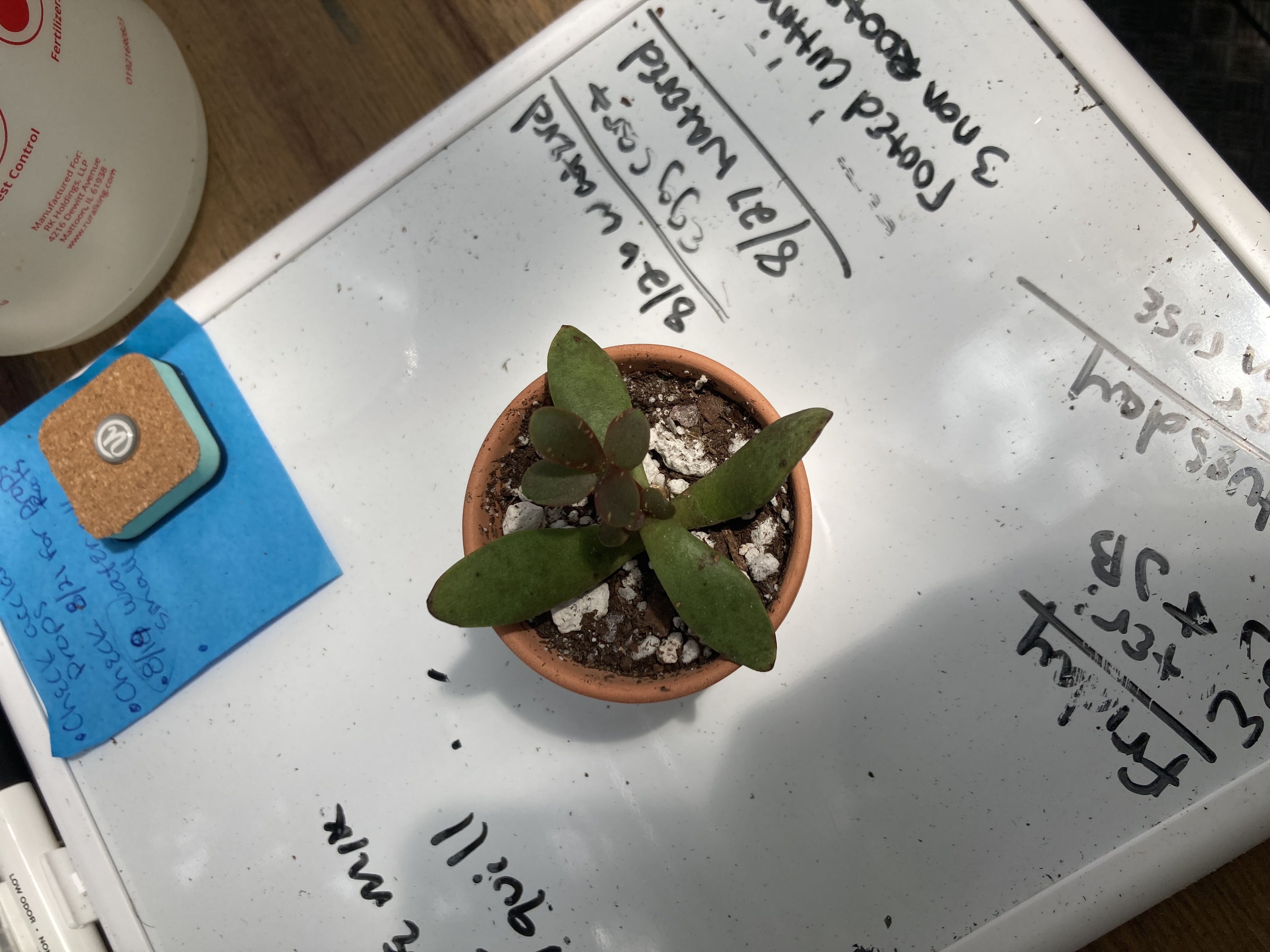 Photo from the post