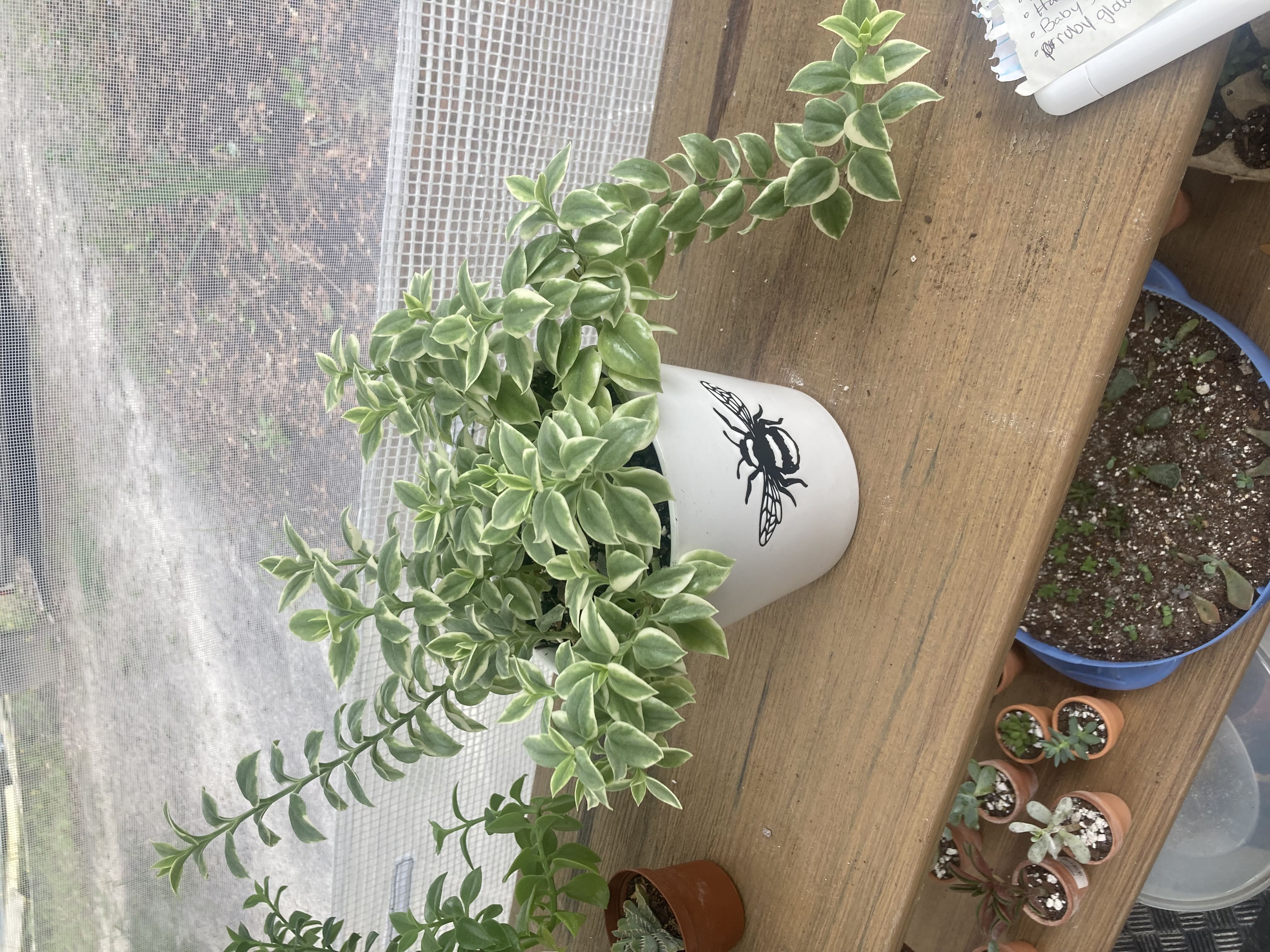 Photo from the post