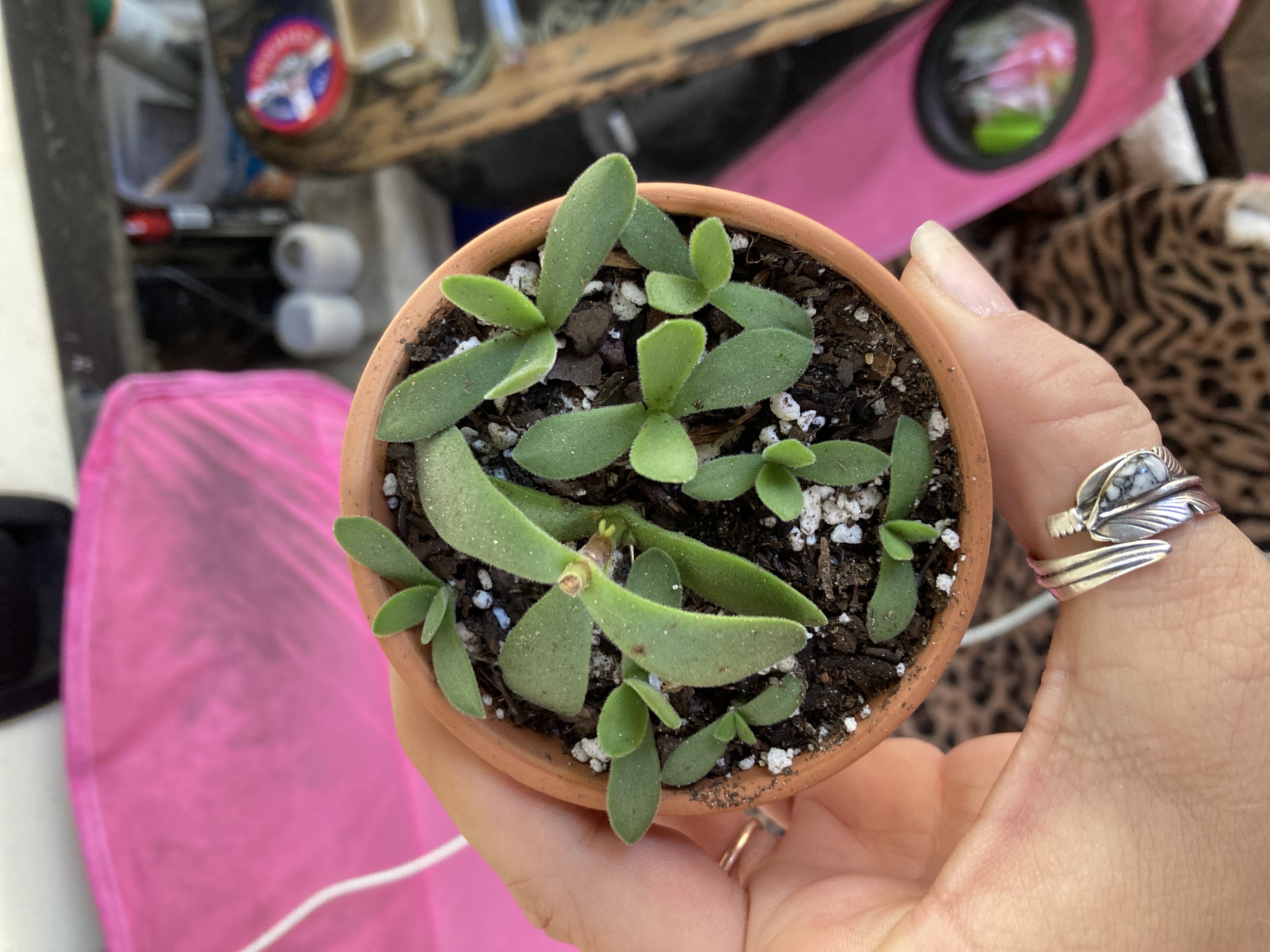 Photo from the post