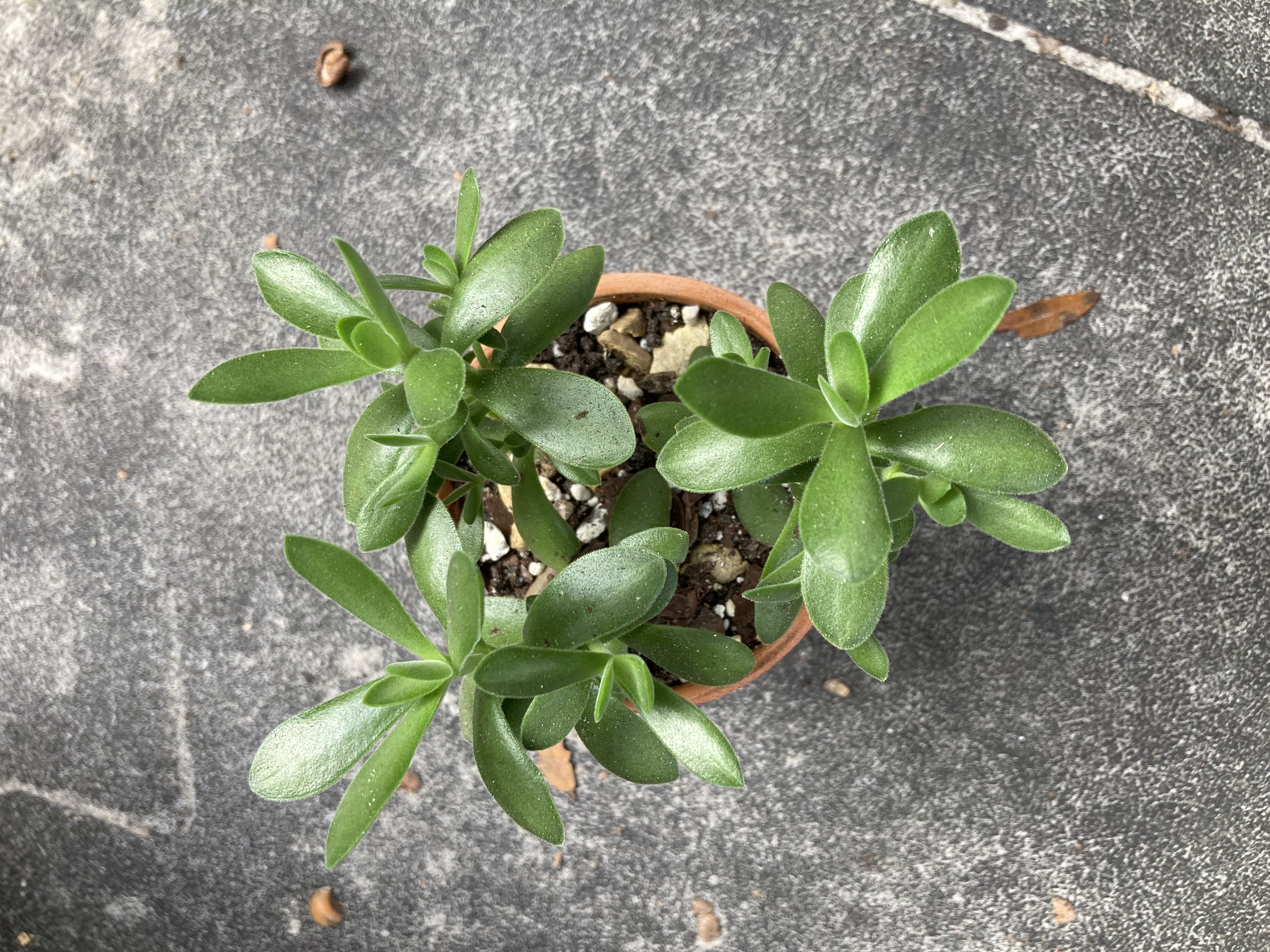 Photo from the post