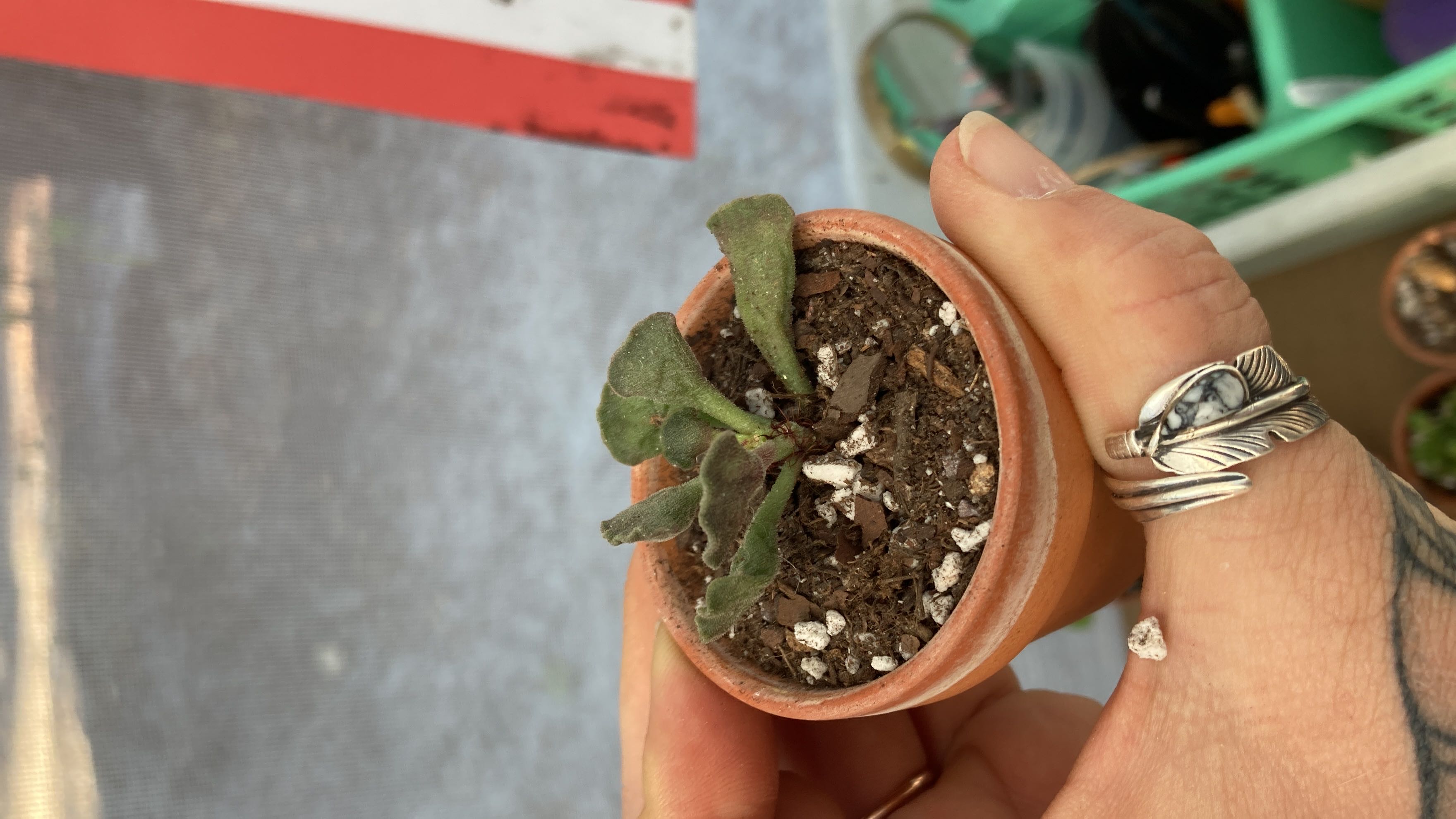 Photo from the post