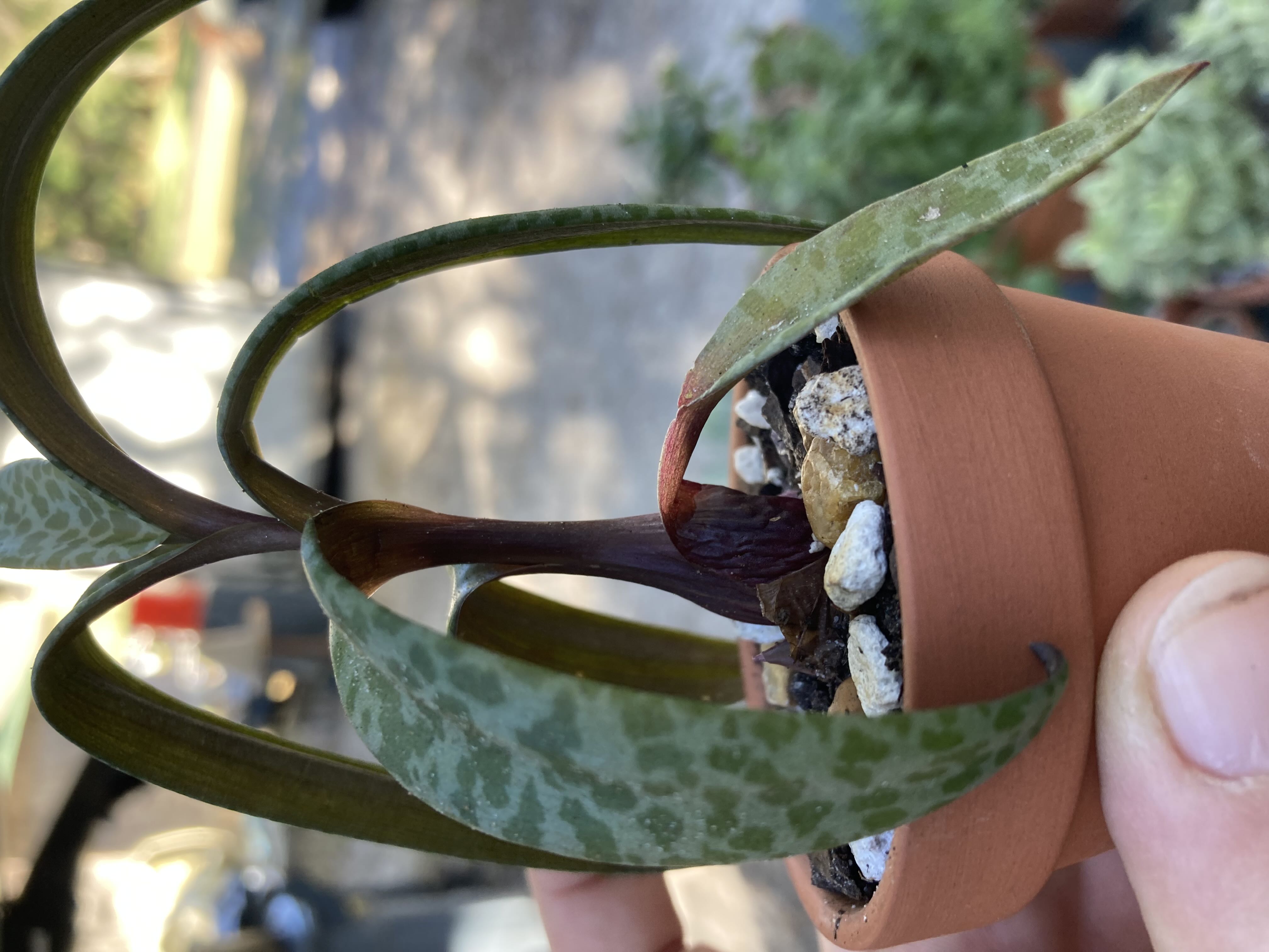 Photo from the post