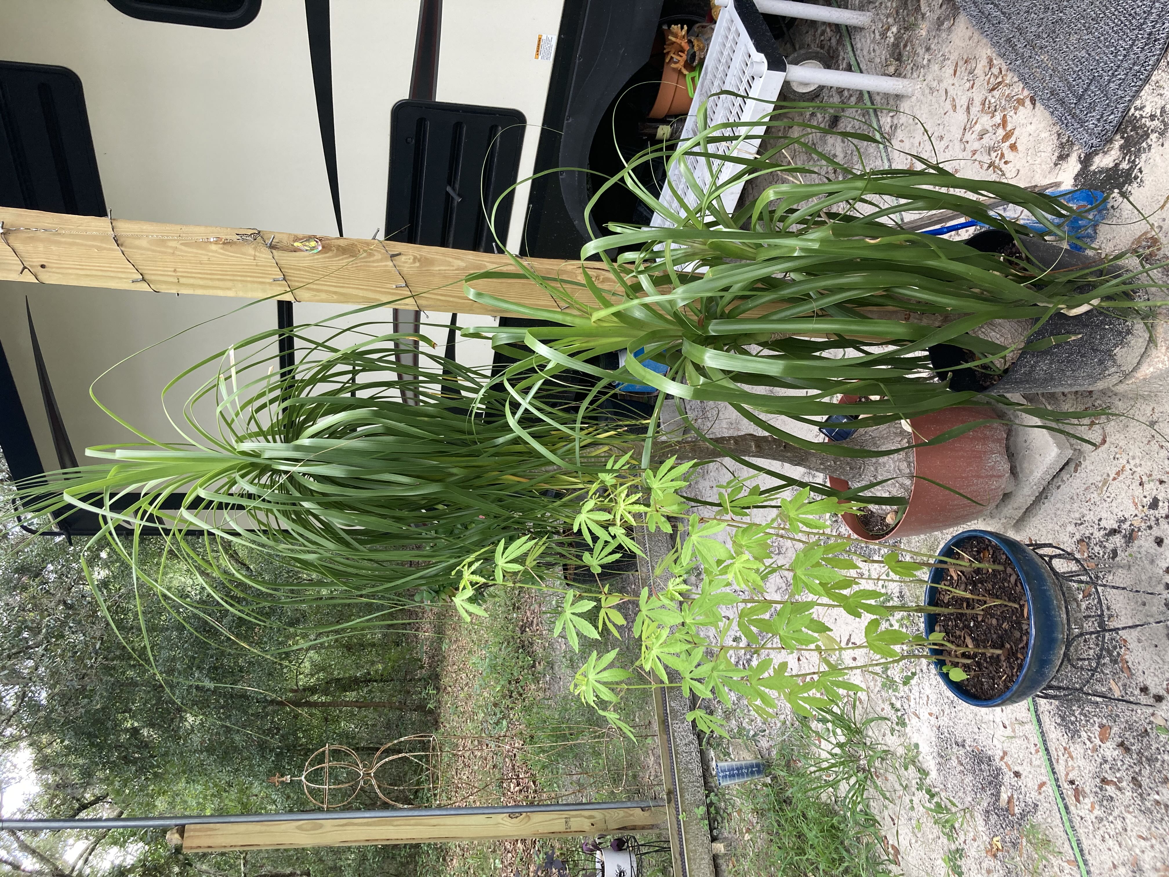 Photo from the post