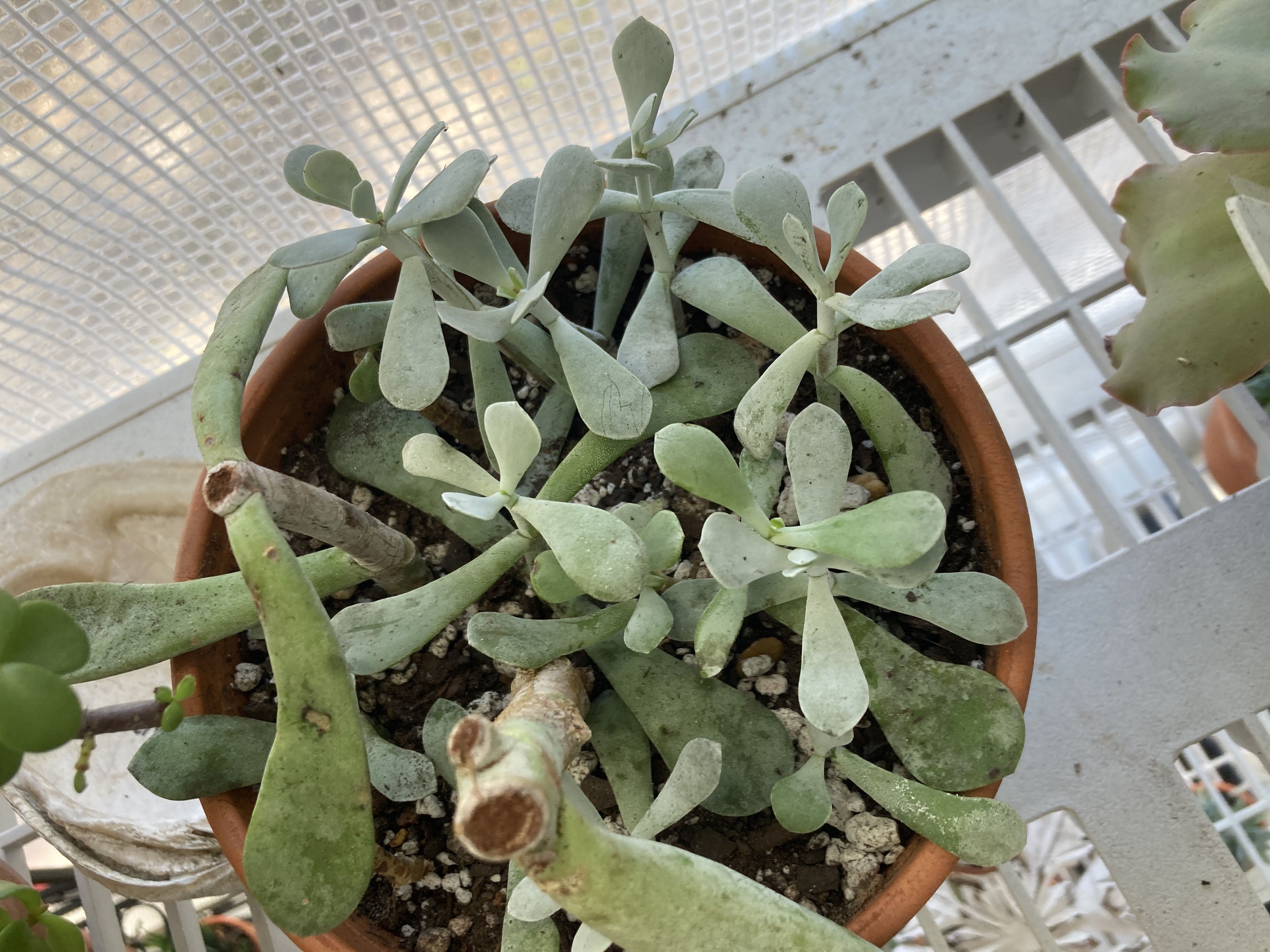 Photo from the post