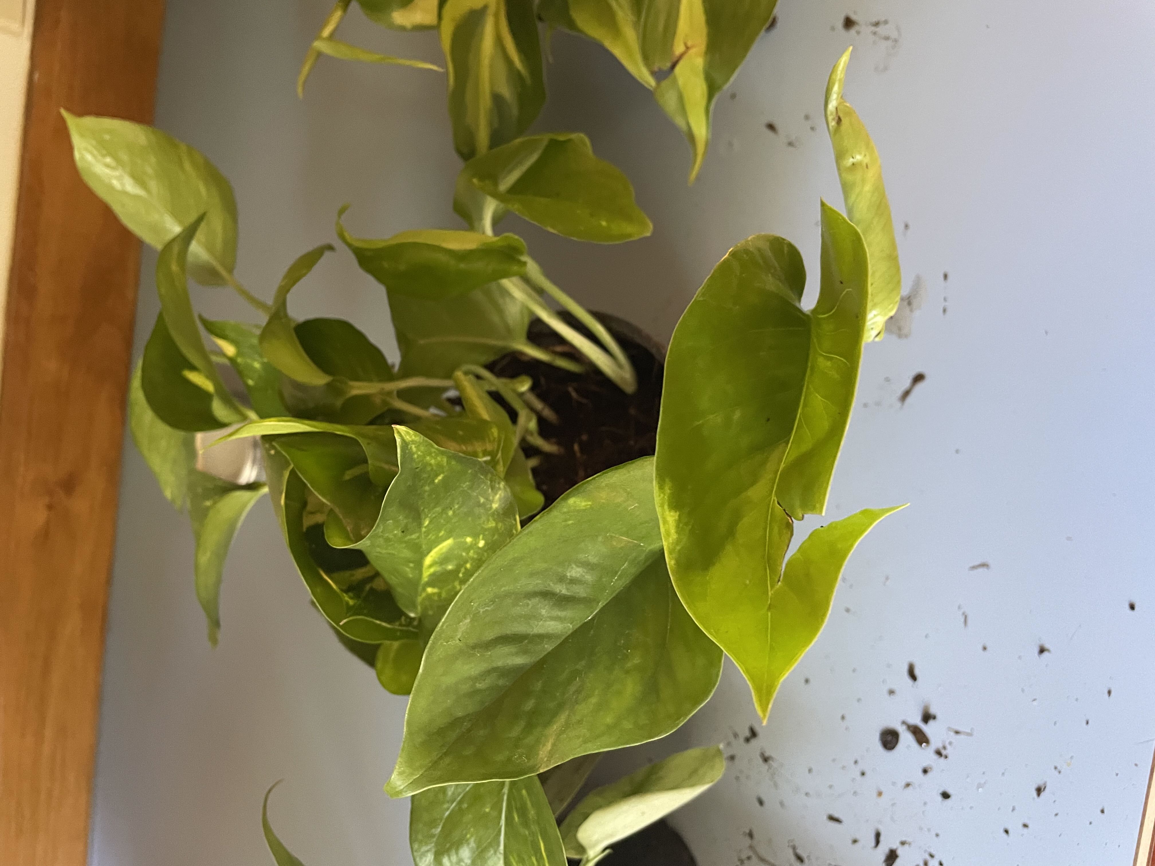 Photo from the post