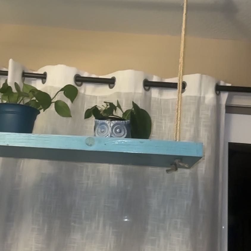 Plant care for Heart to Heart 'Bottle Rocket' Caladium on Greg, the plant care app