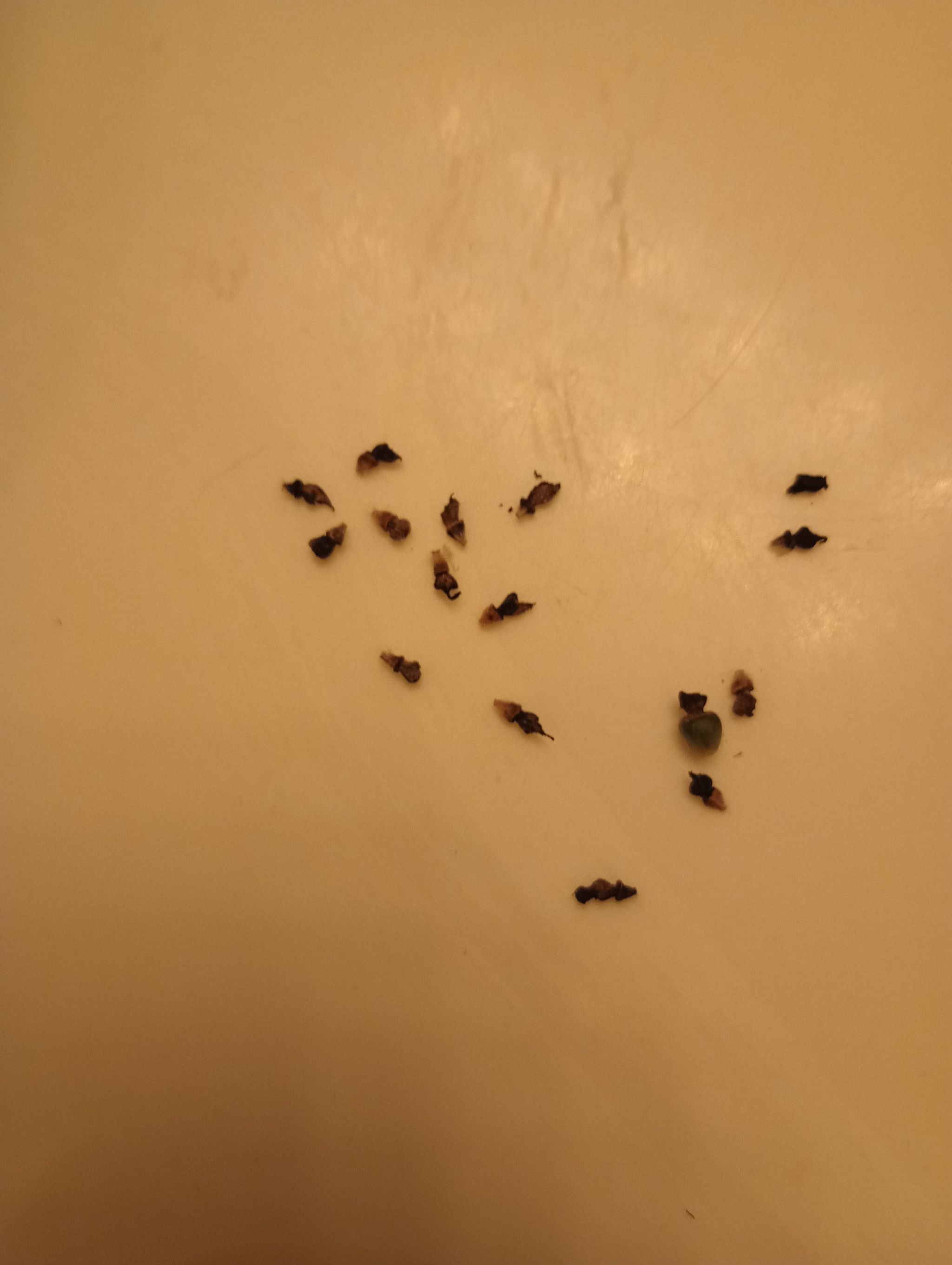 Photo from the post