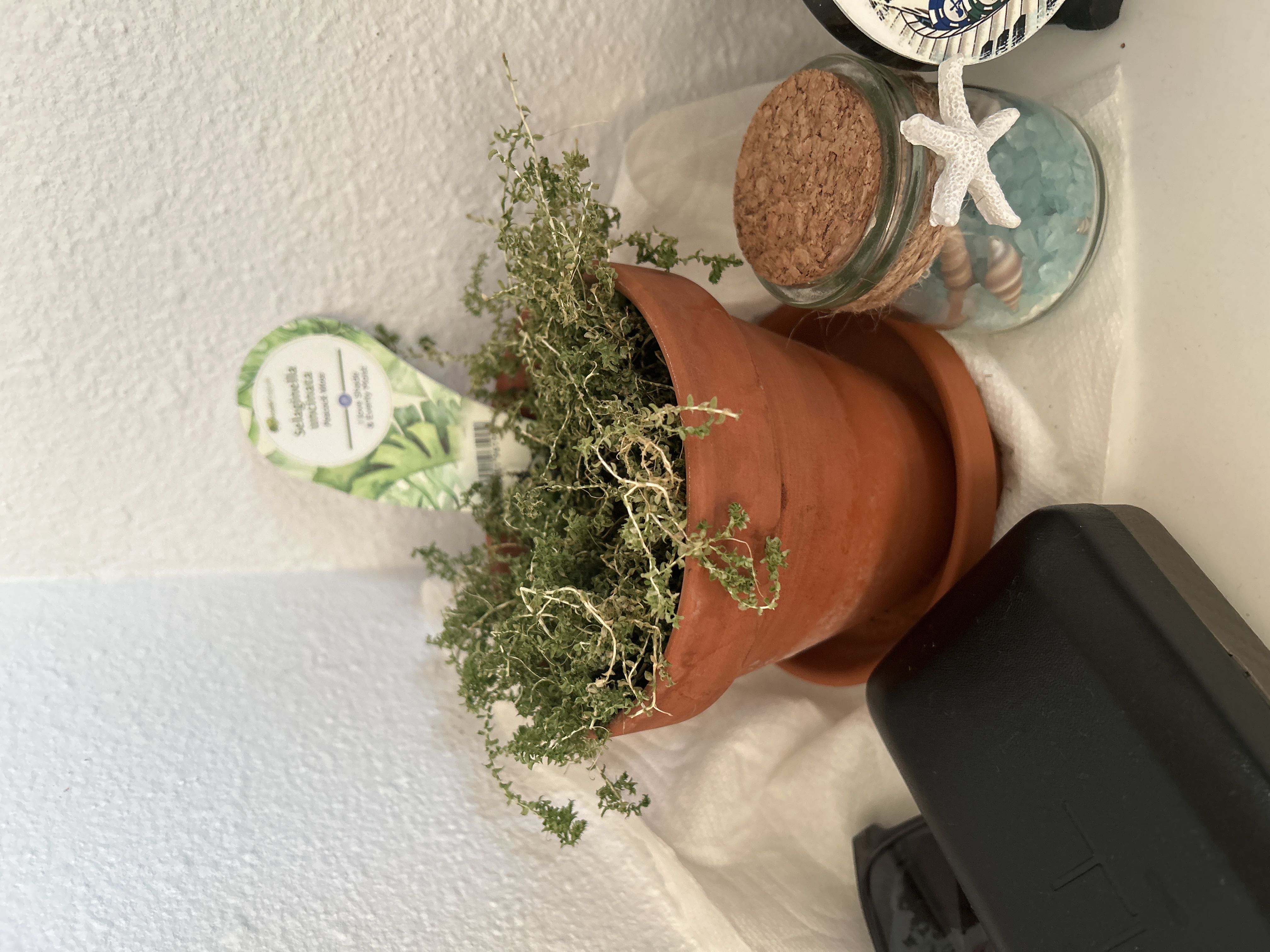 Photo from the post