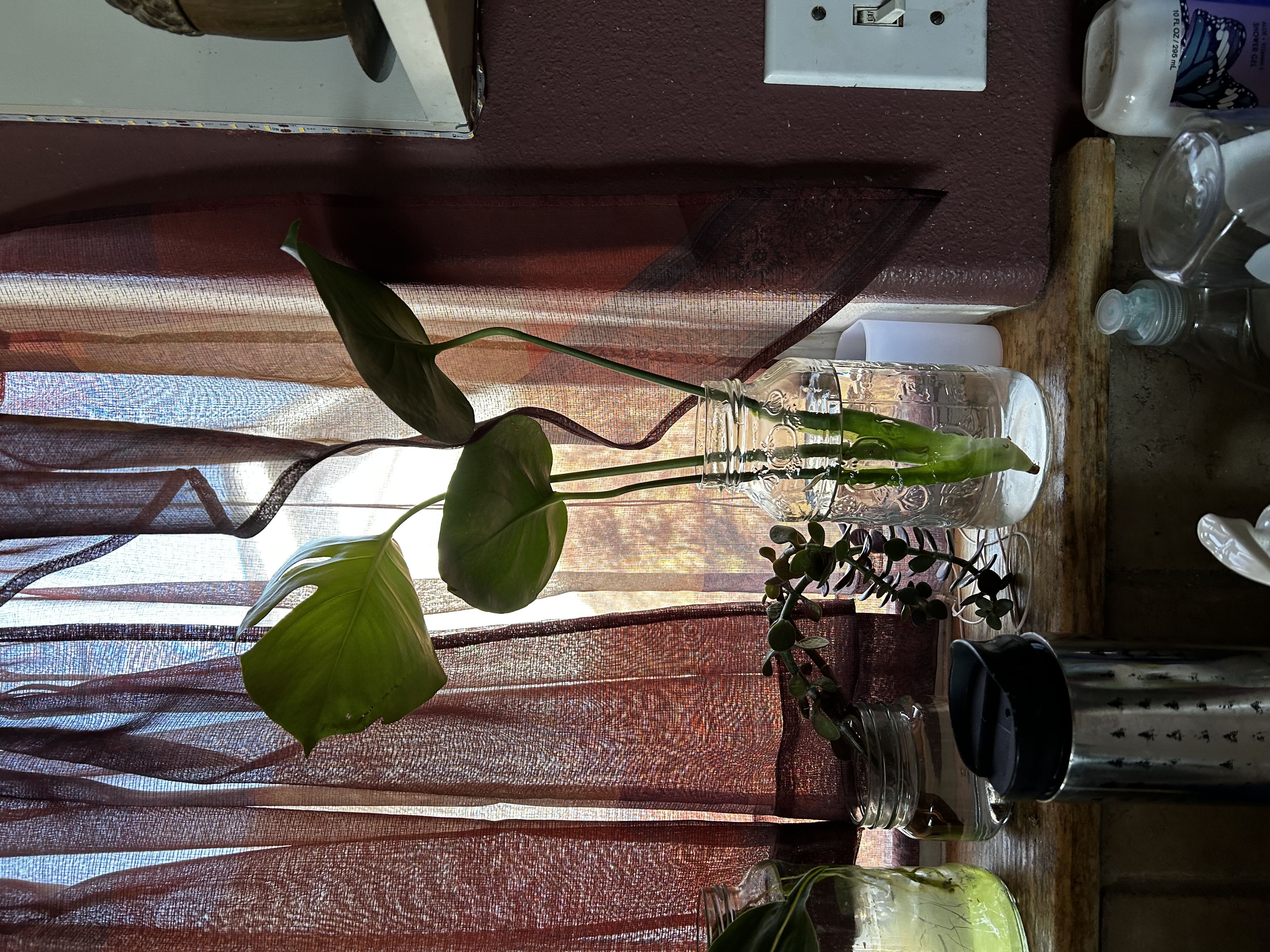 Photo from the post