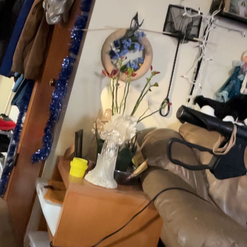 Indoor setting with a Border Carnation in a vase on a piece of furniture.