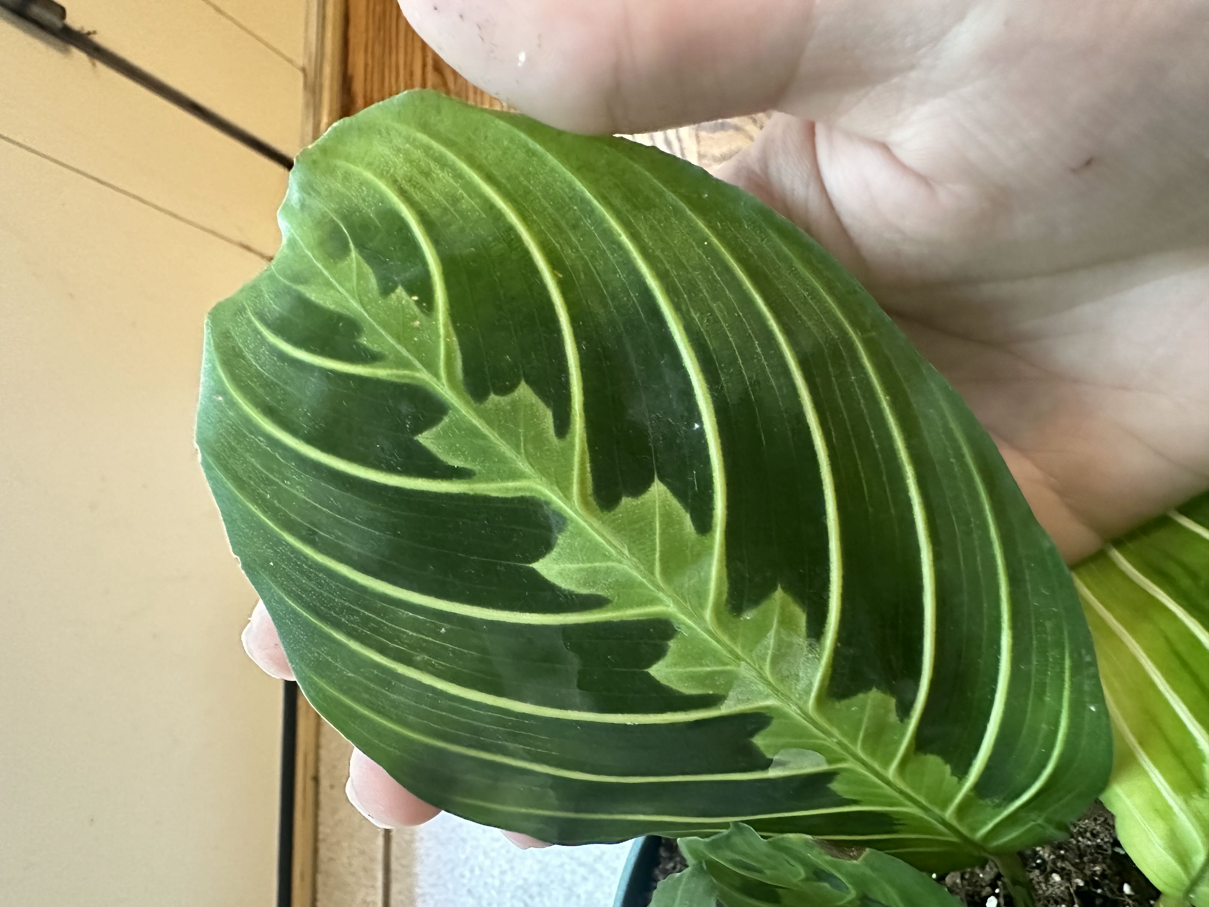 Photo from the post