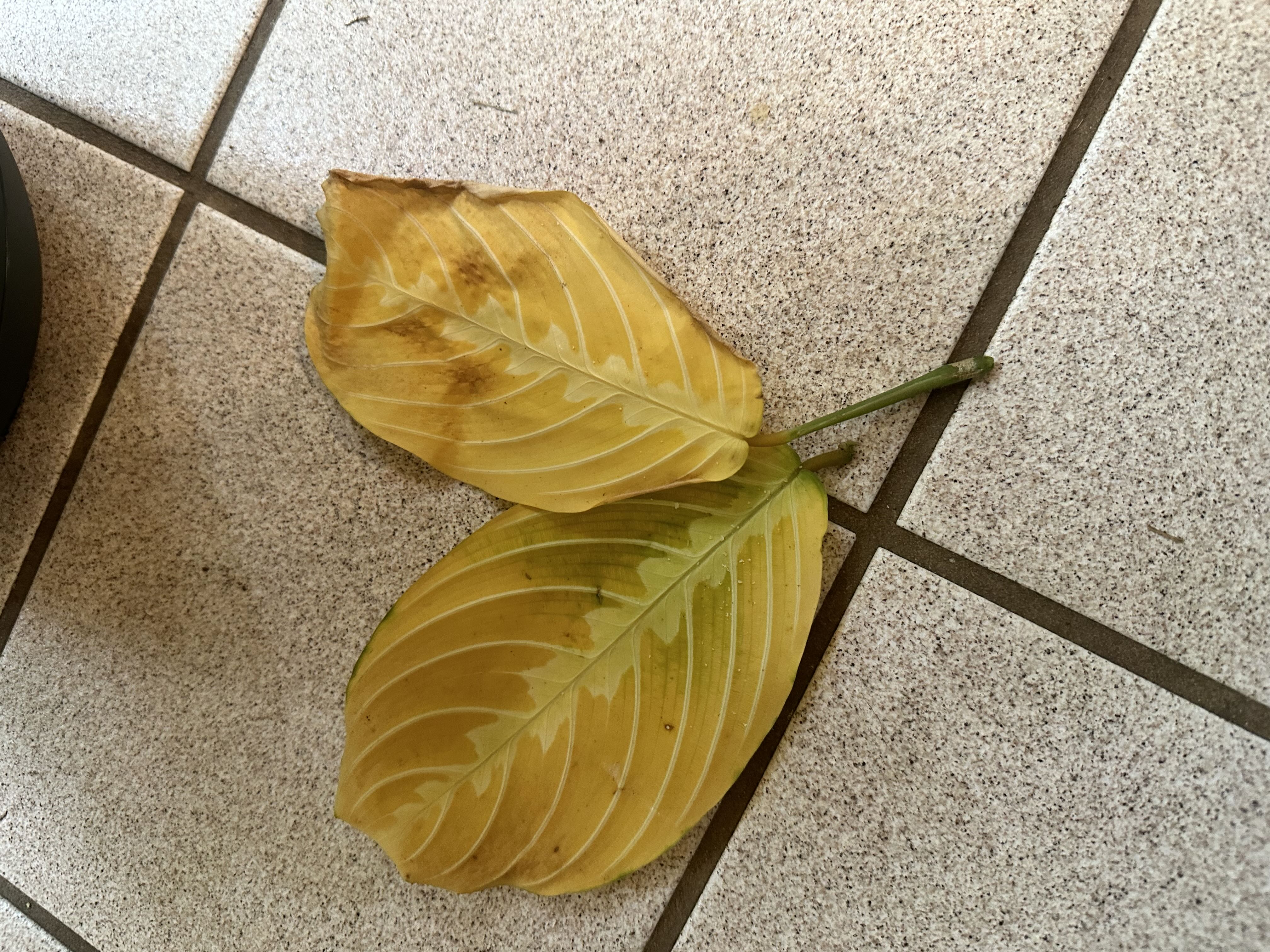 Photo from the post