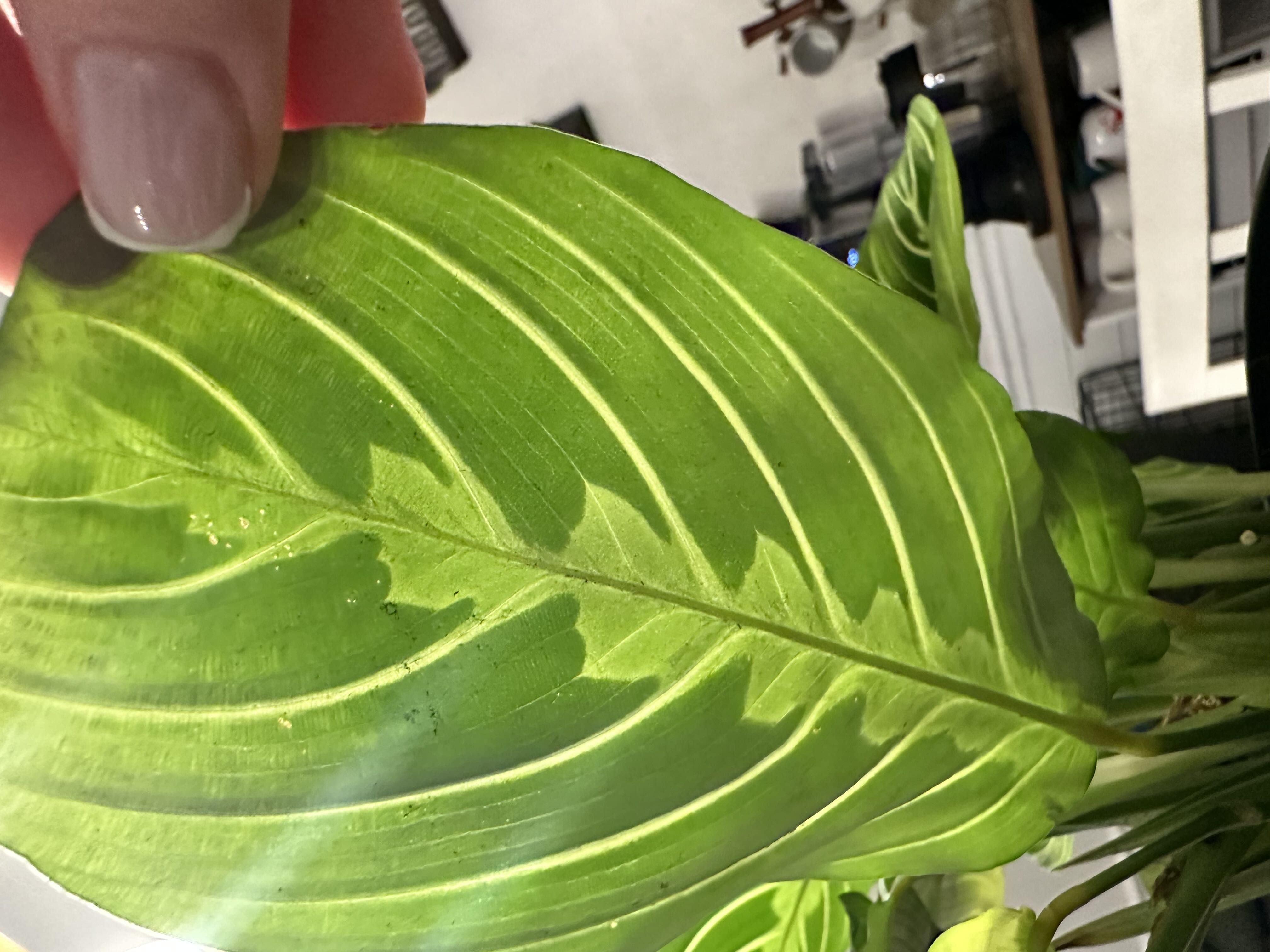 Photo from the post