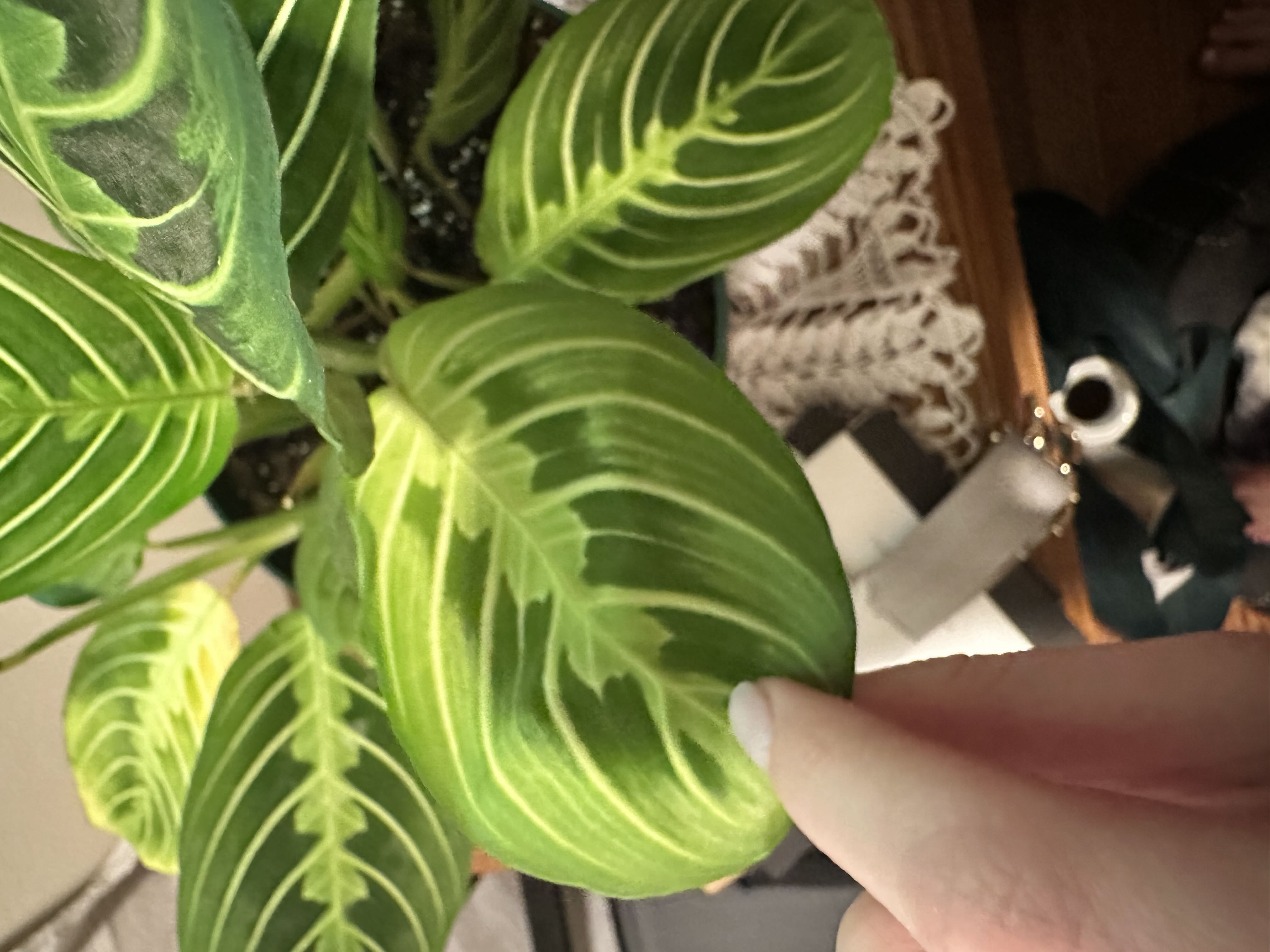 Photo from the post
