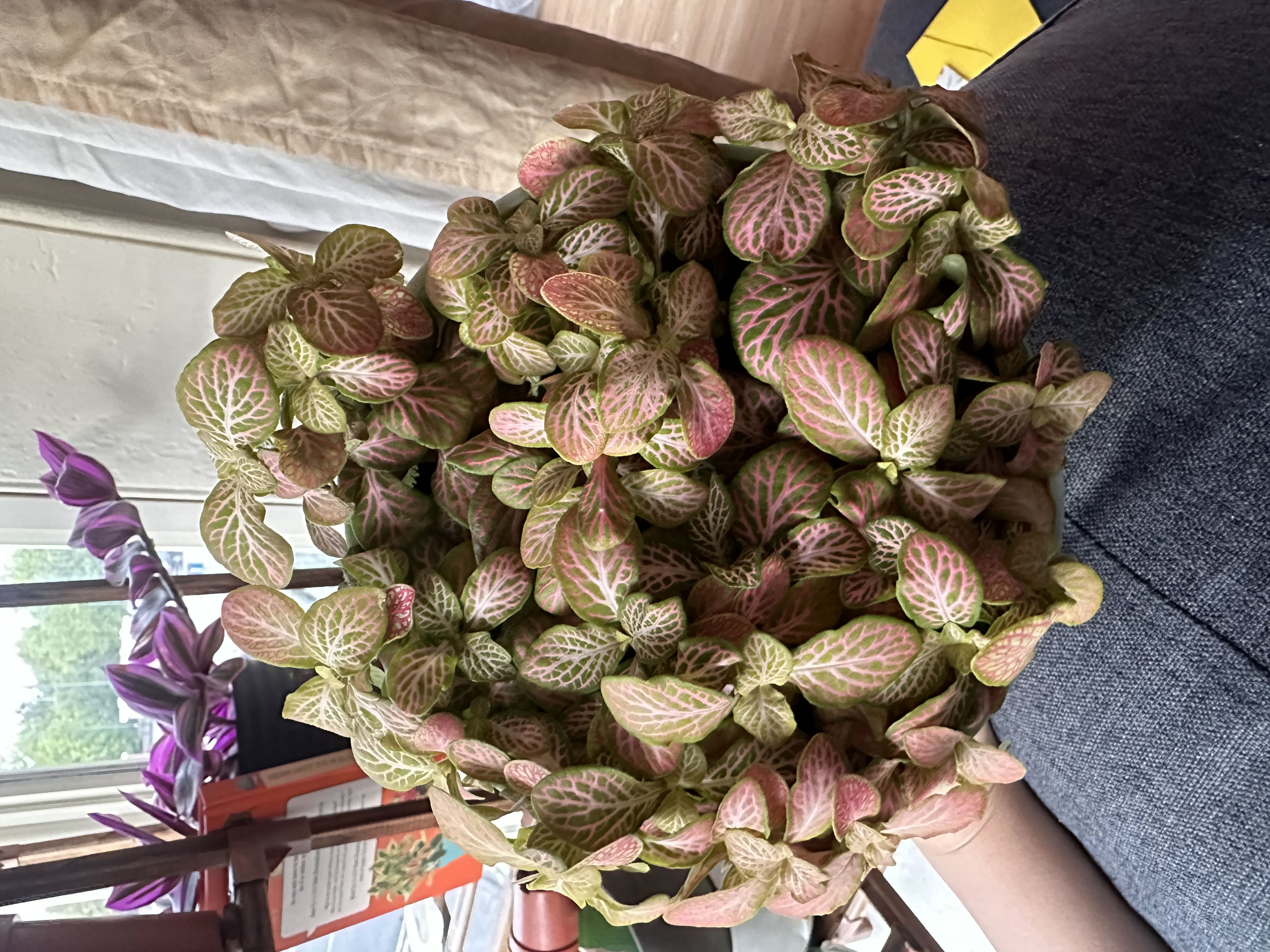 Photo from the post