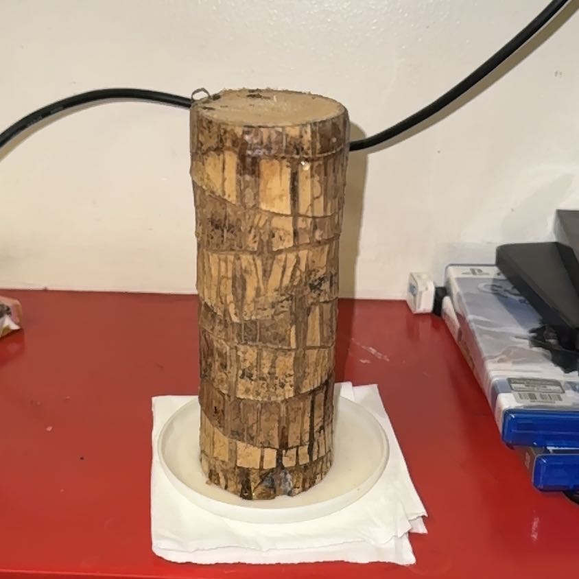 Photo of the plant species Brazilwood by @ZestSicklefern named room on Greg, the plant care app