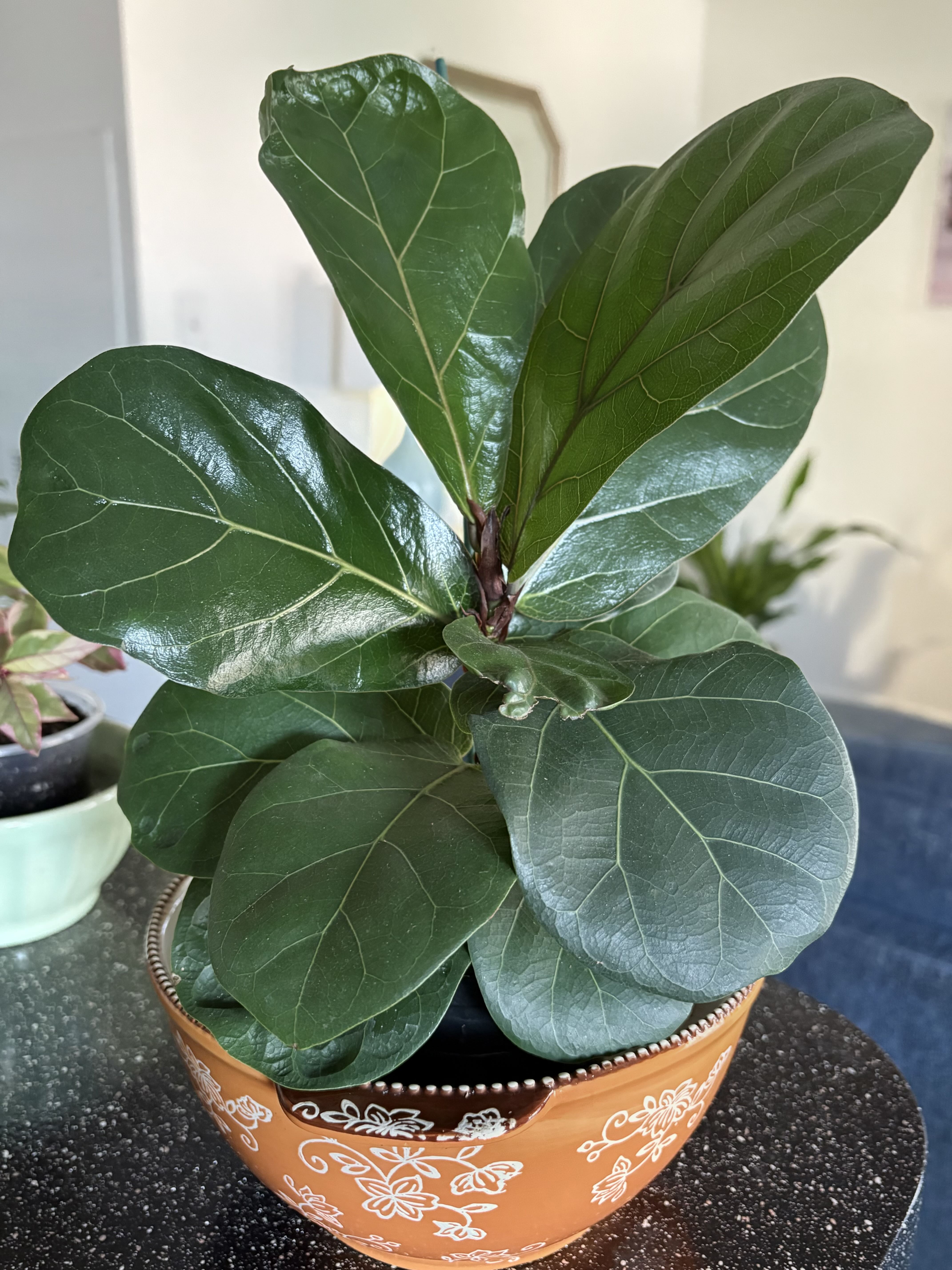 Photo from the post