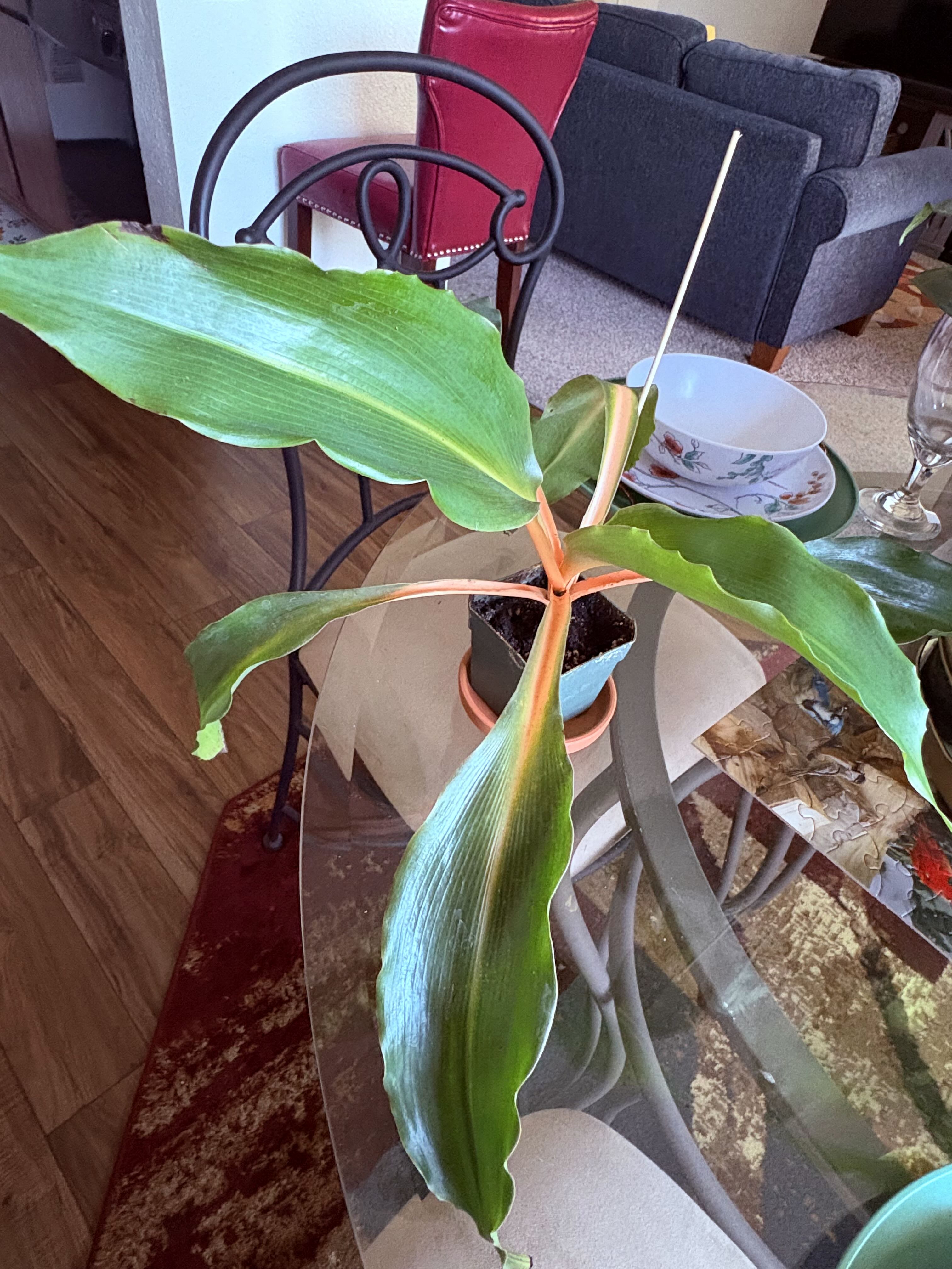 Photo from the post