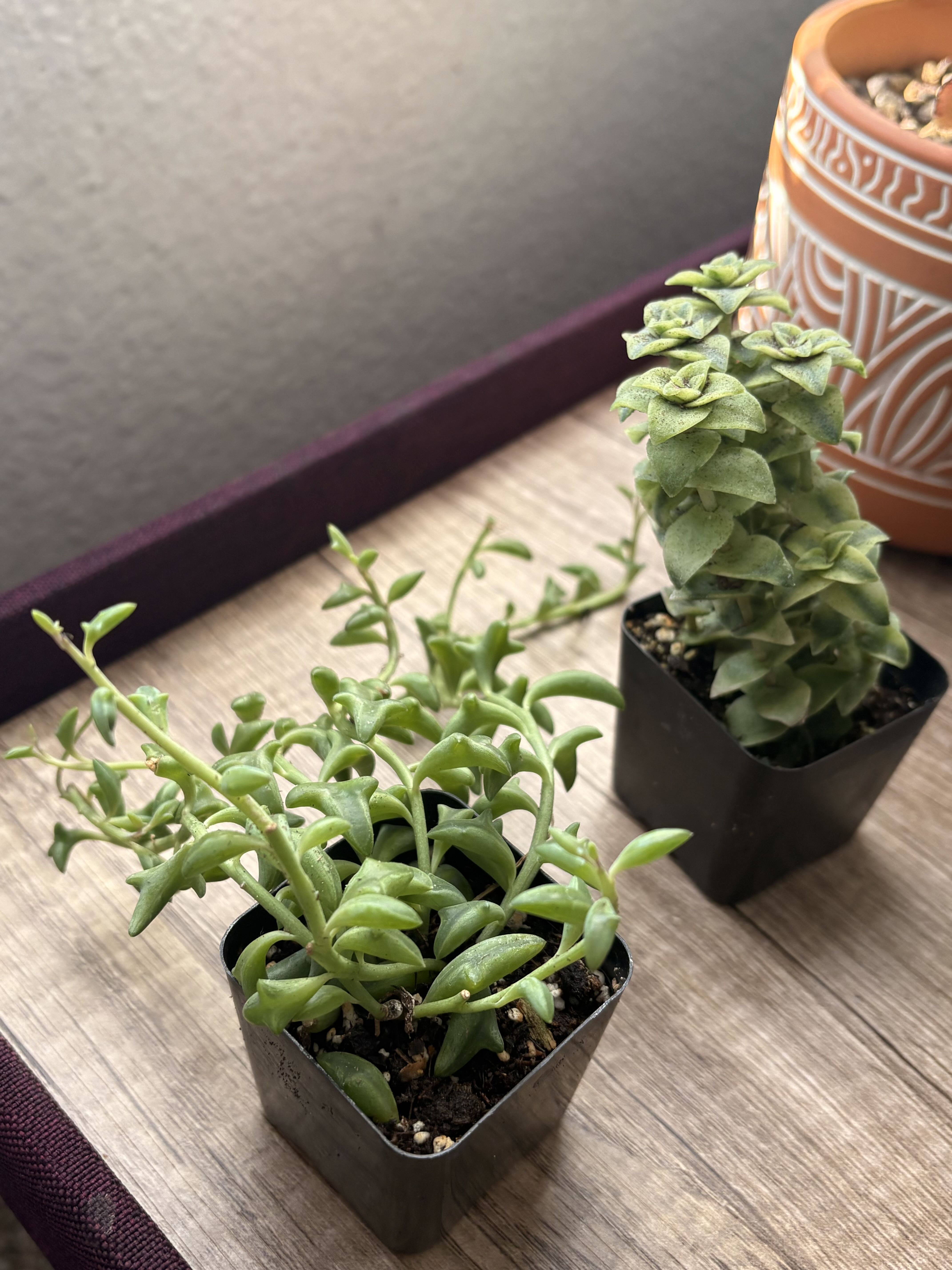 Photo from the post