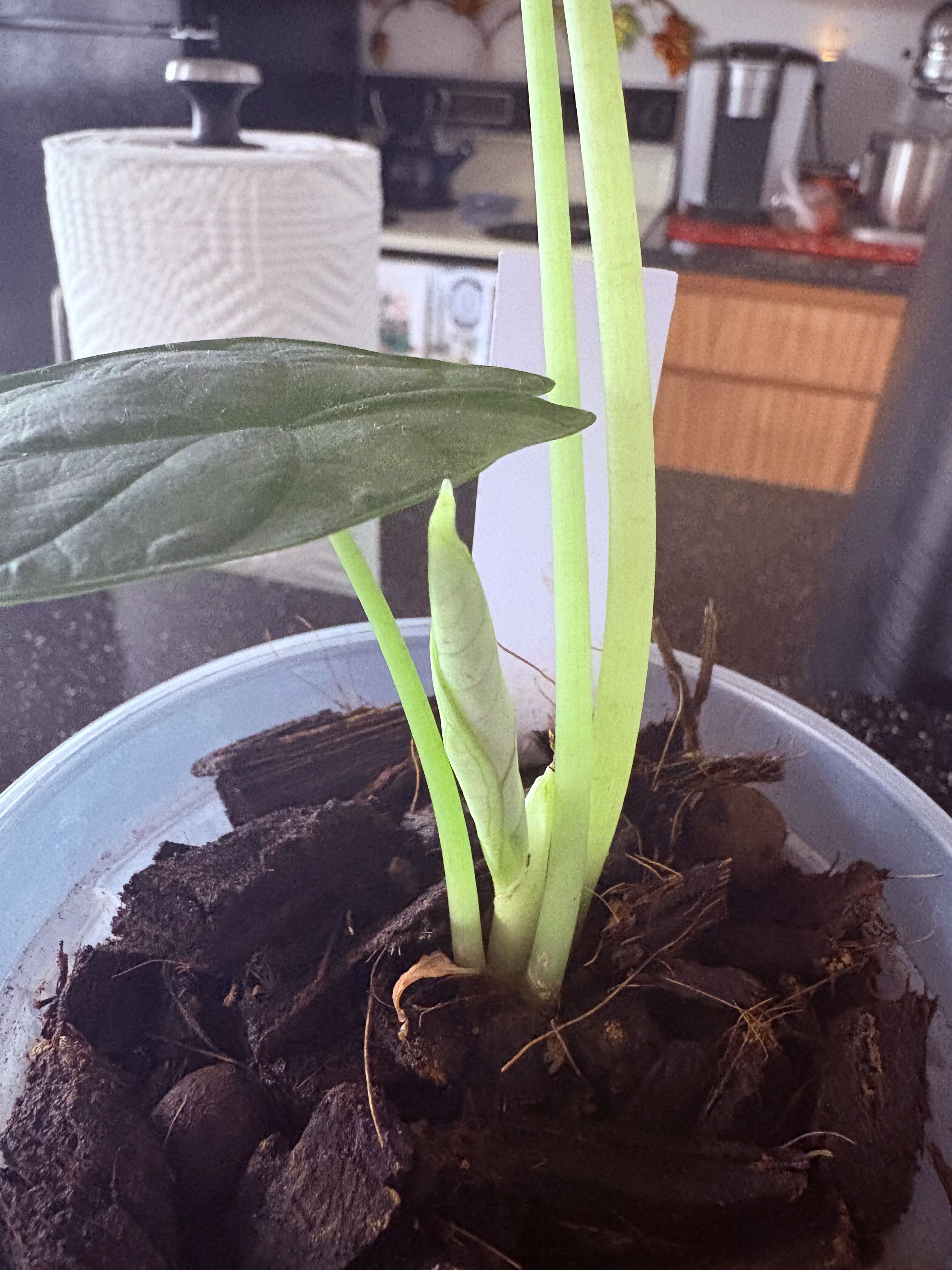 Photo from the post