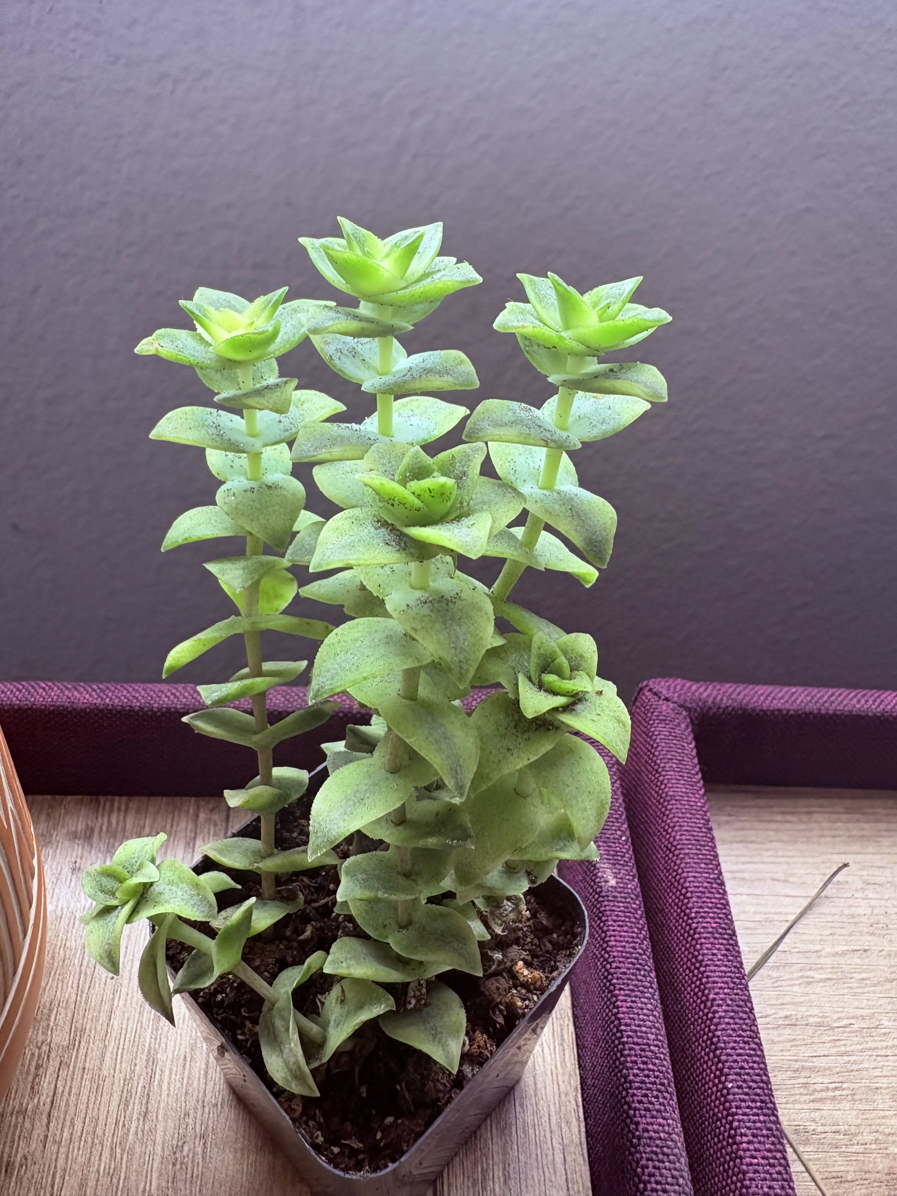 Photo from the post