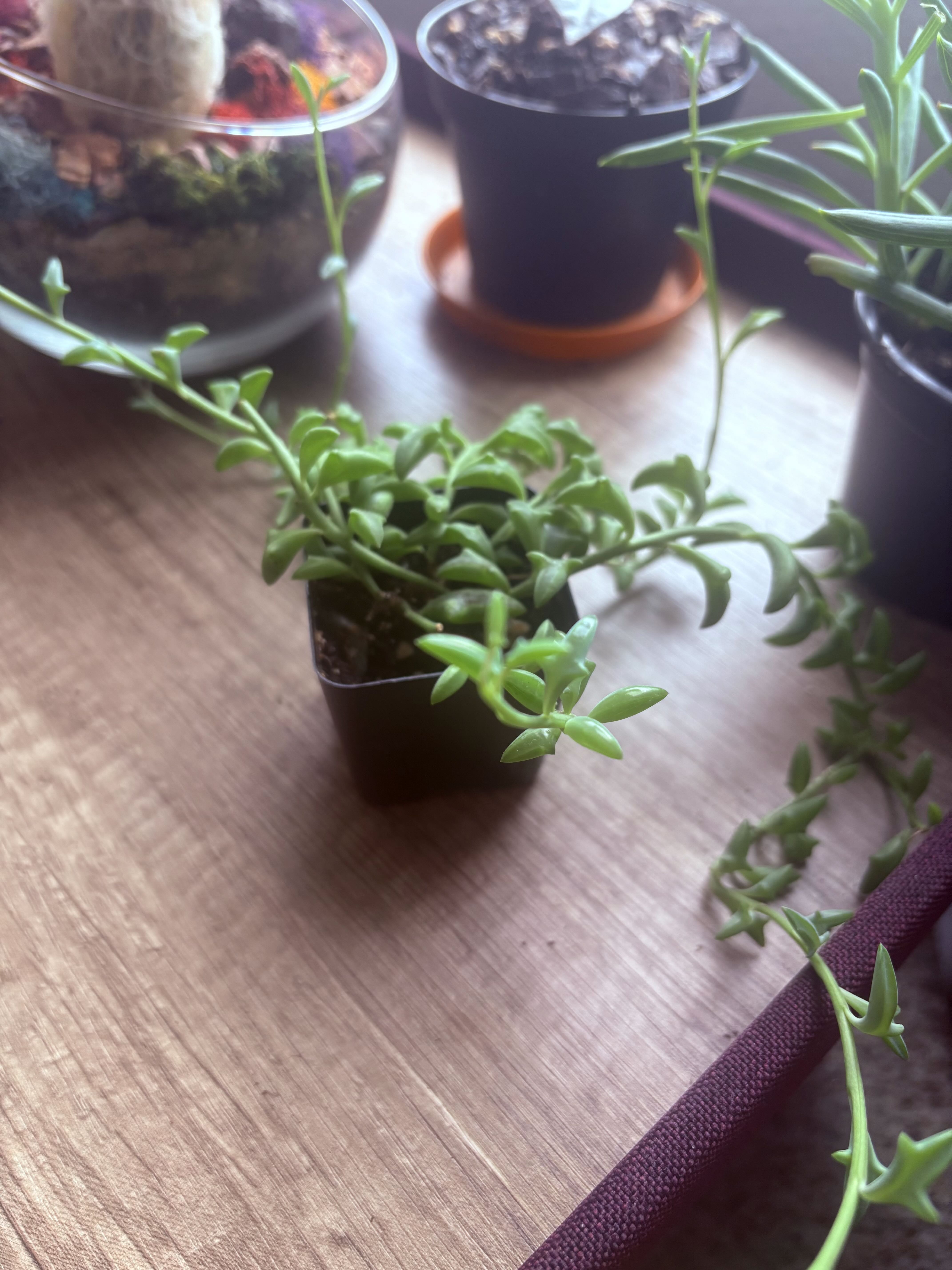 Photo from the post