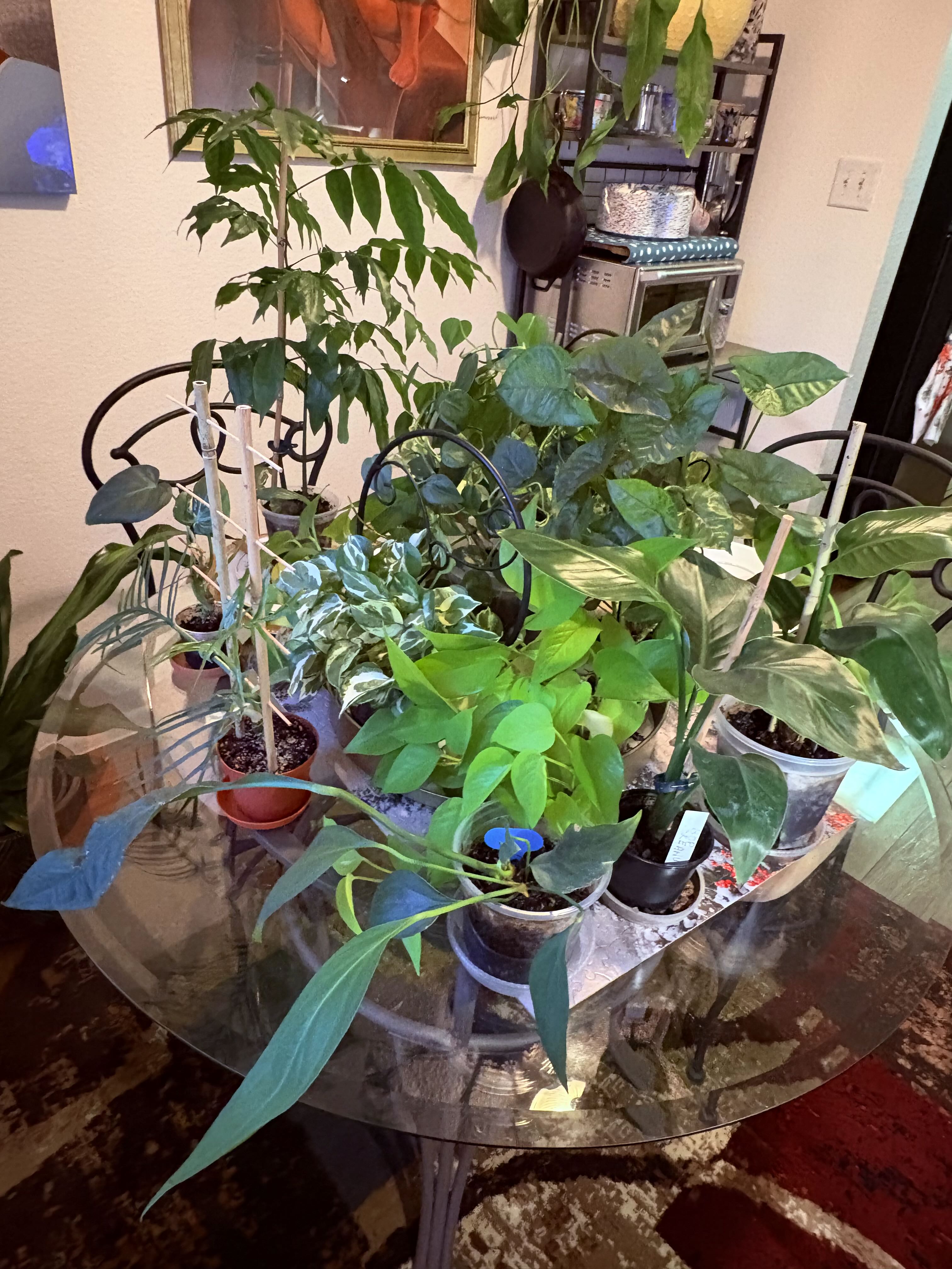 Photo from the post