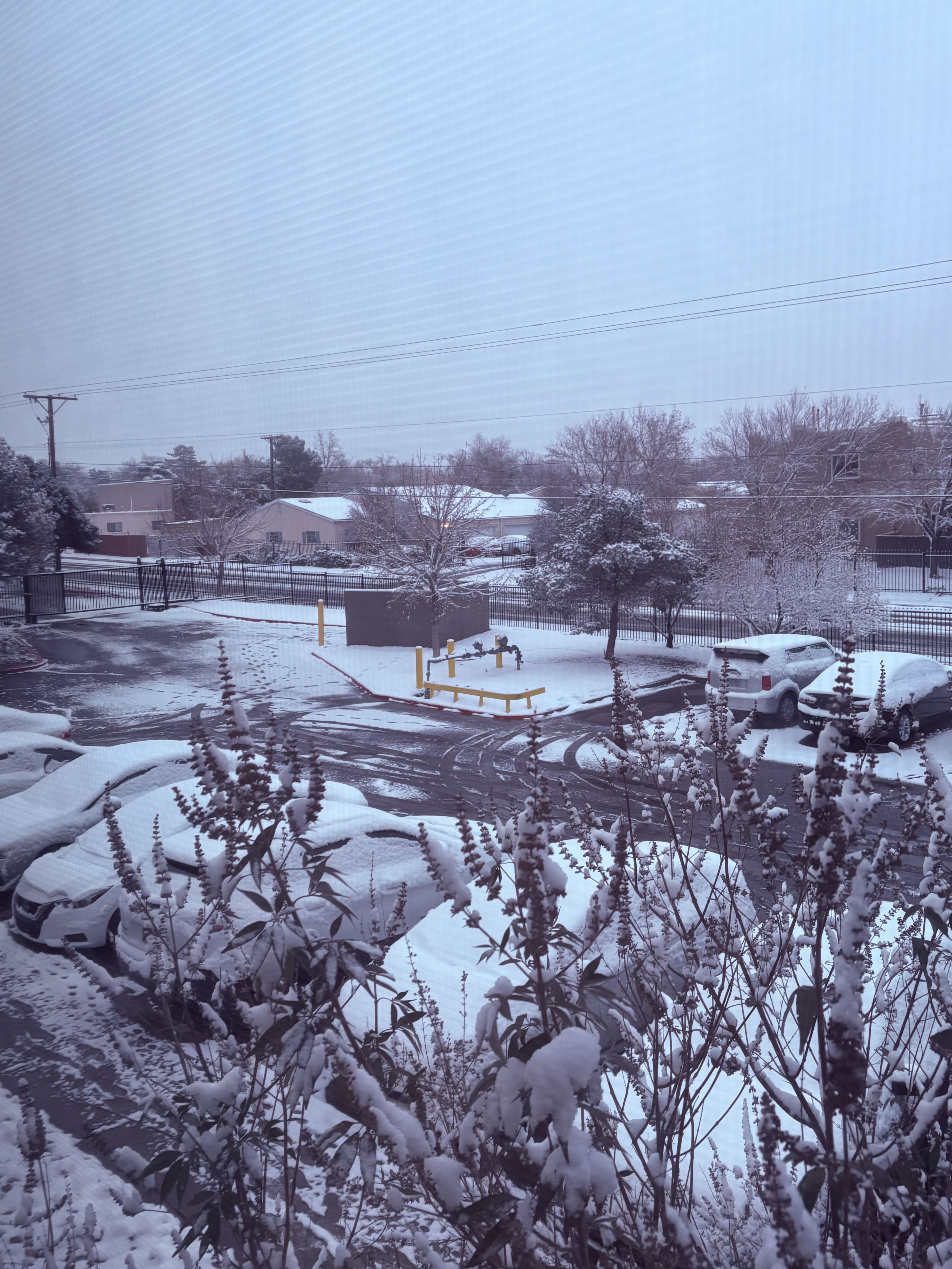 Photo from the post
