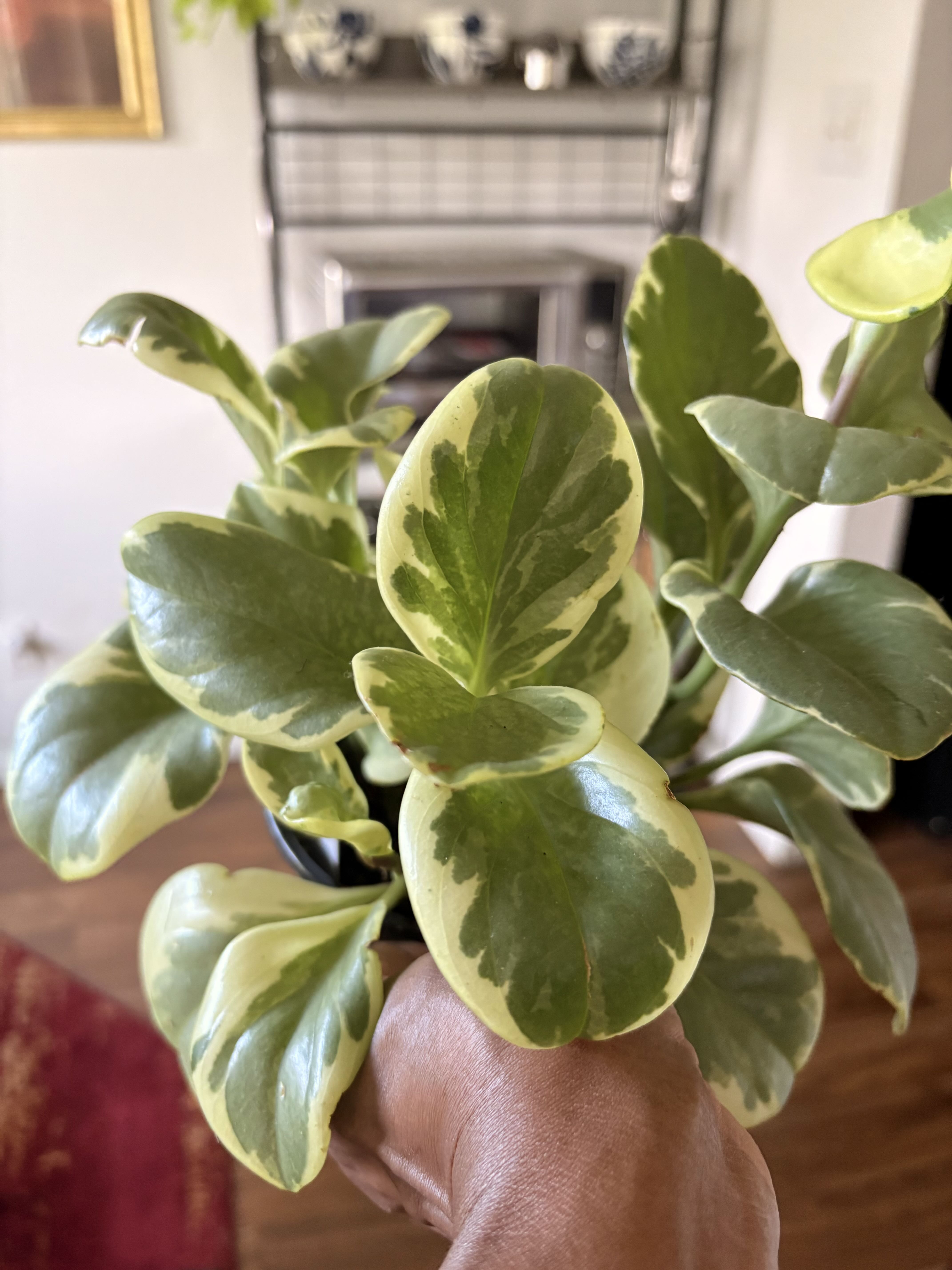 Photo from the post