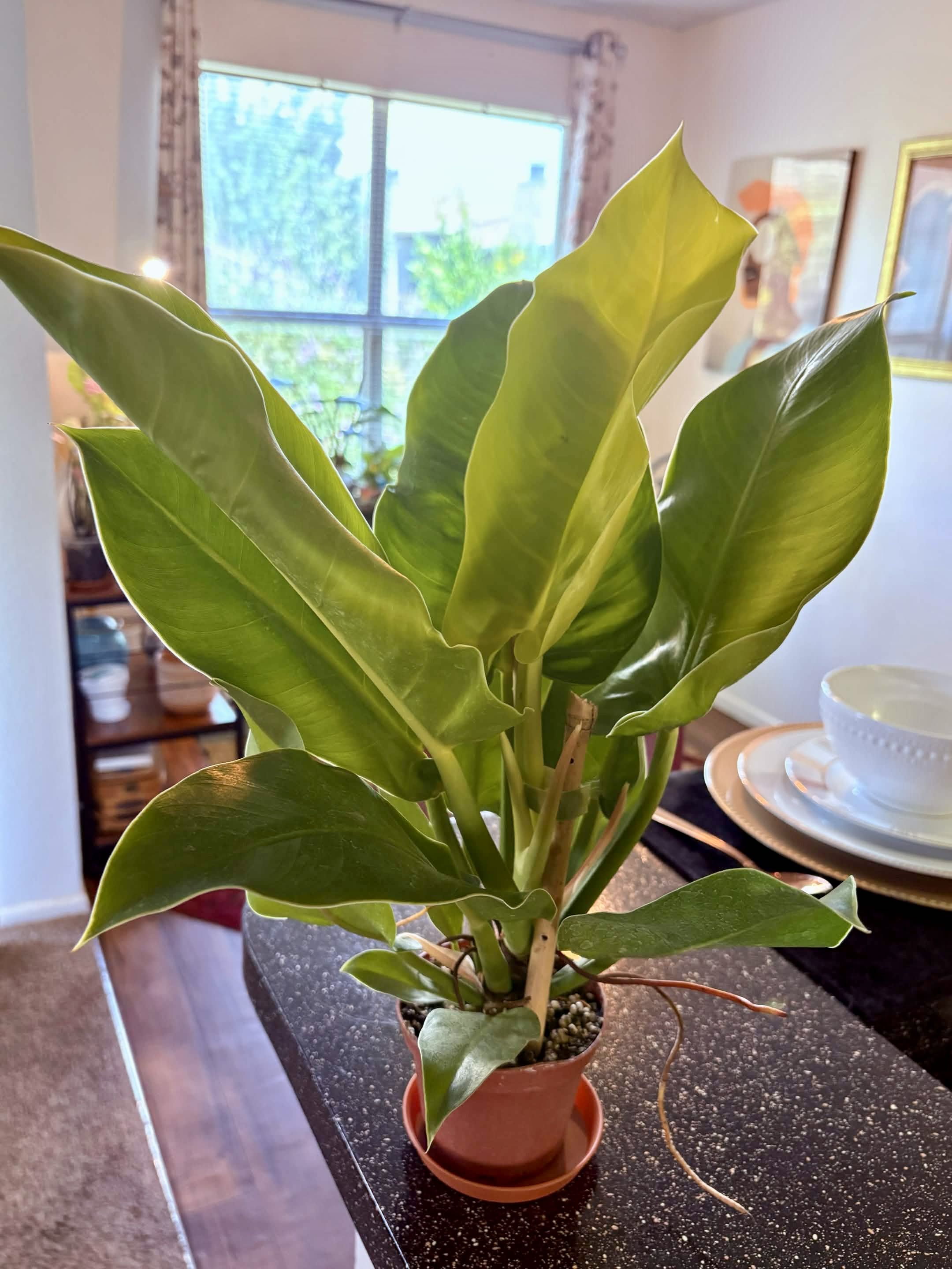 Photo from the post