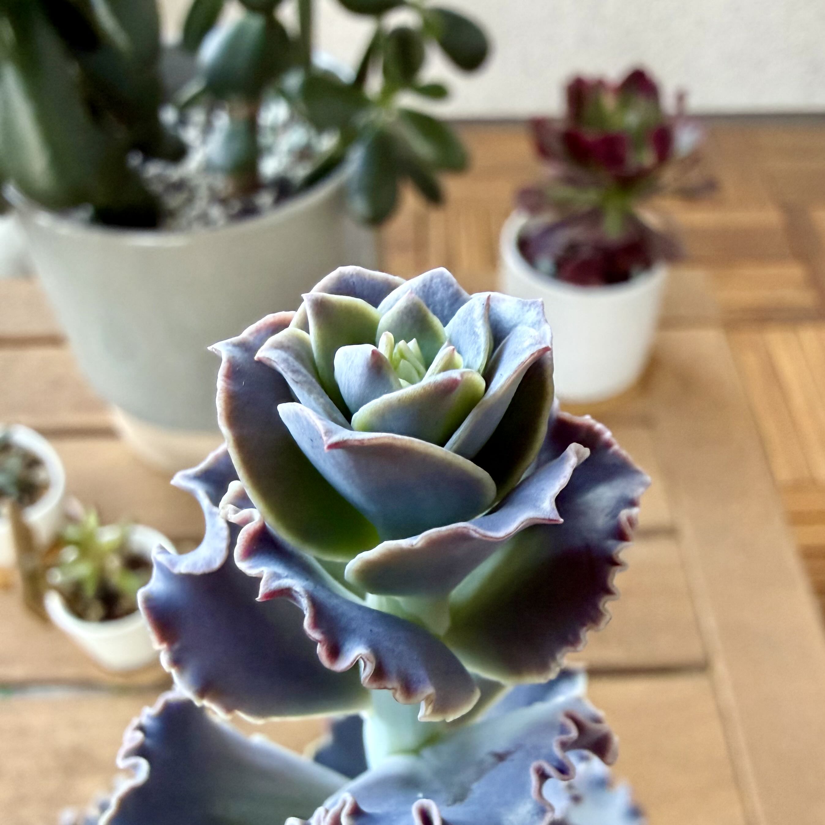 Photo from the post