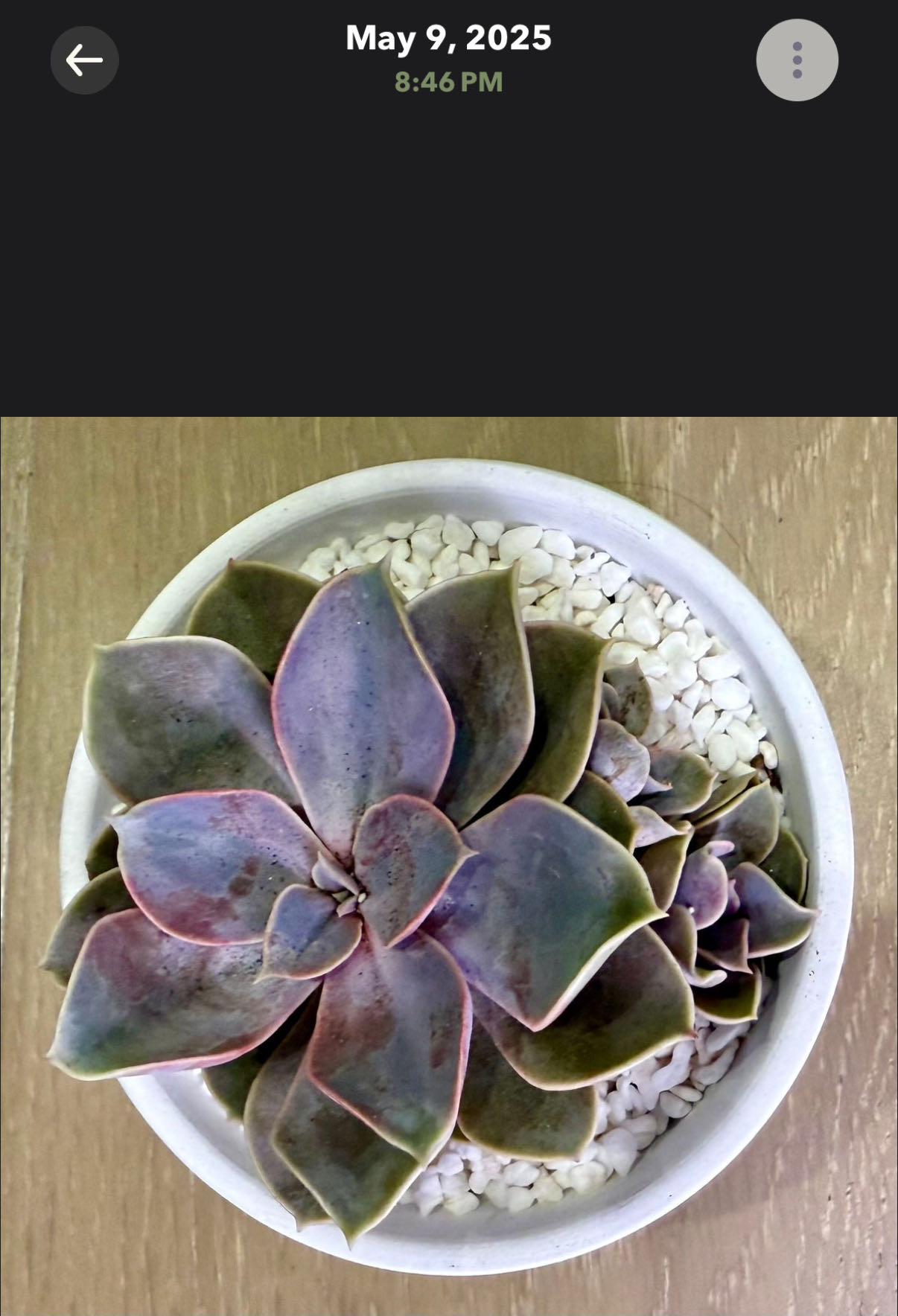 Photo from the post