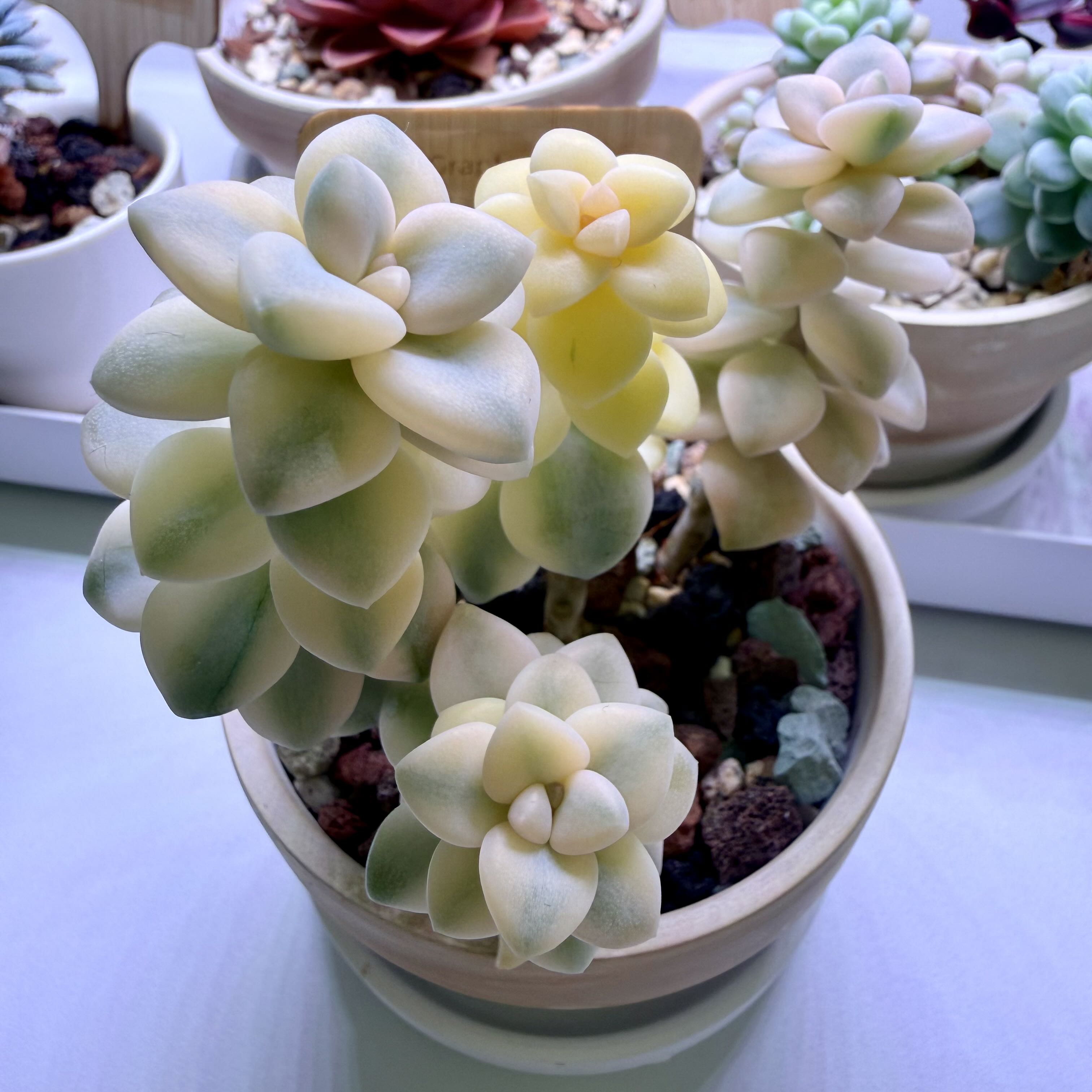 Photo from the post