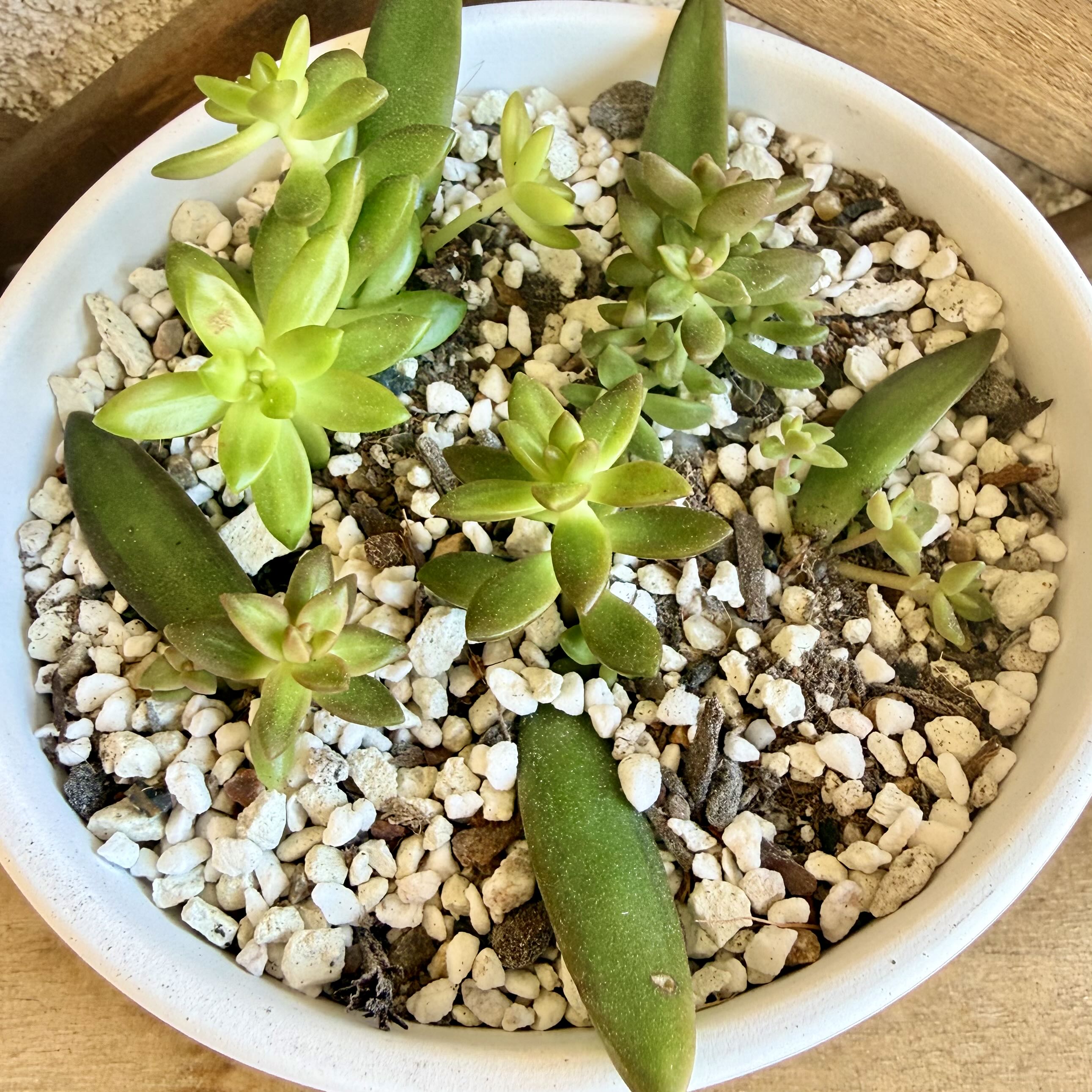 Photo from the post