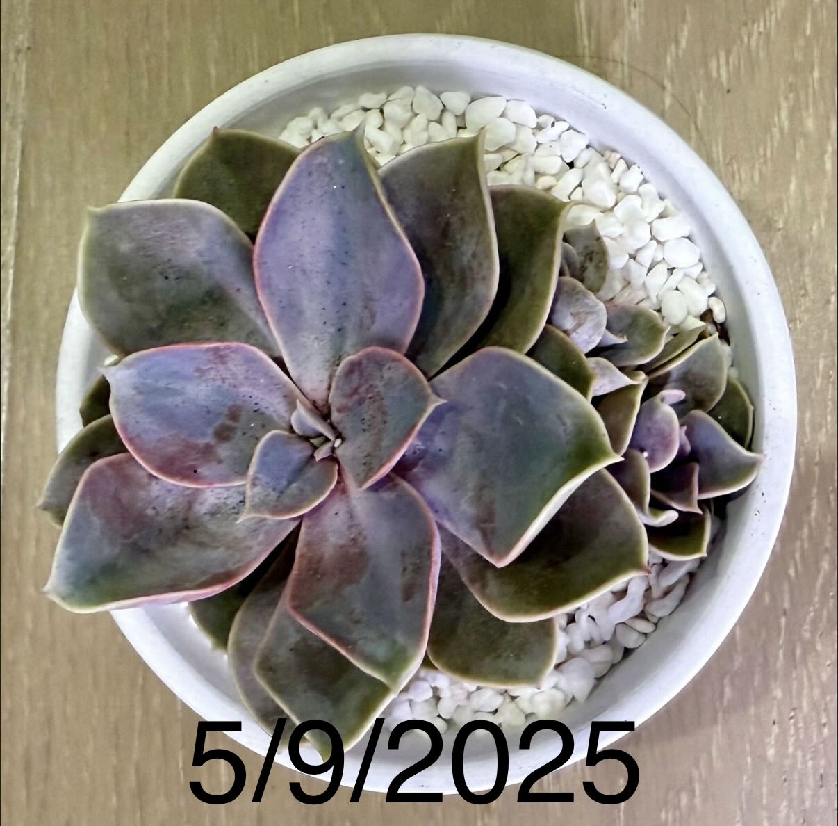 Photo from the post